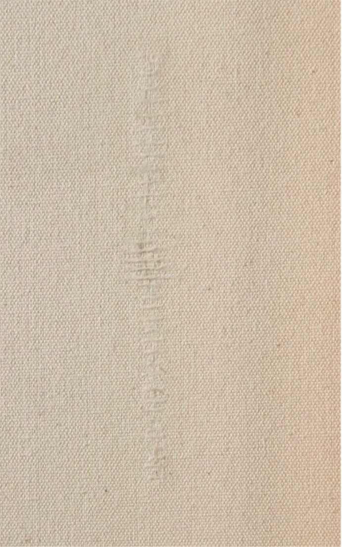 Canvas after tear mend