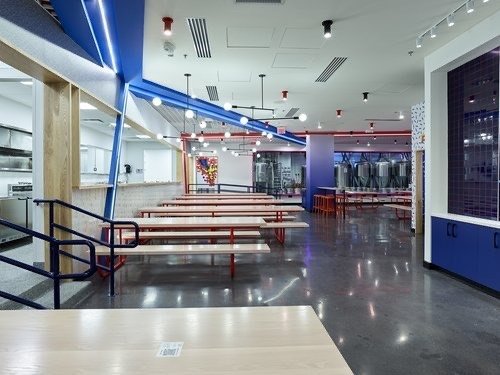 NightHawk - Arlington, VA - Sleek Recessed Sonos Speakers and Discreet Google Cameras that Seamlessly Blend In.