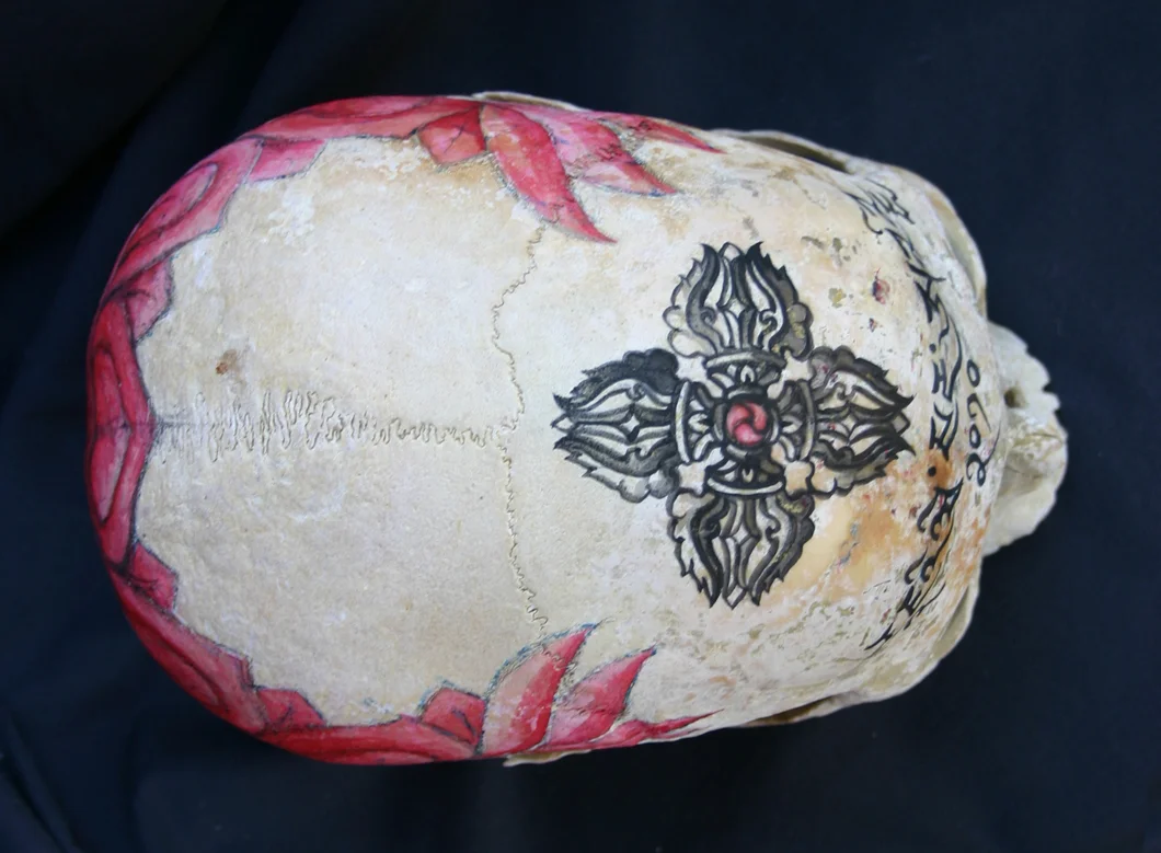 PRINCE FOREVER HAPPY, human skull and watercolor, 5.75" X 4.25" X 7.25"