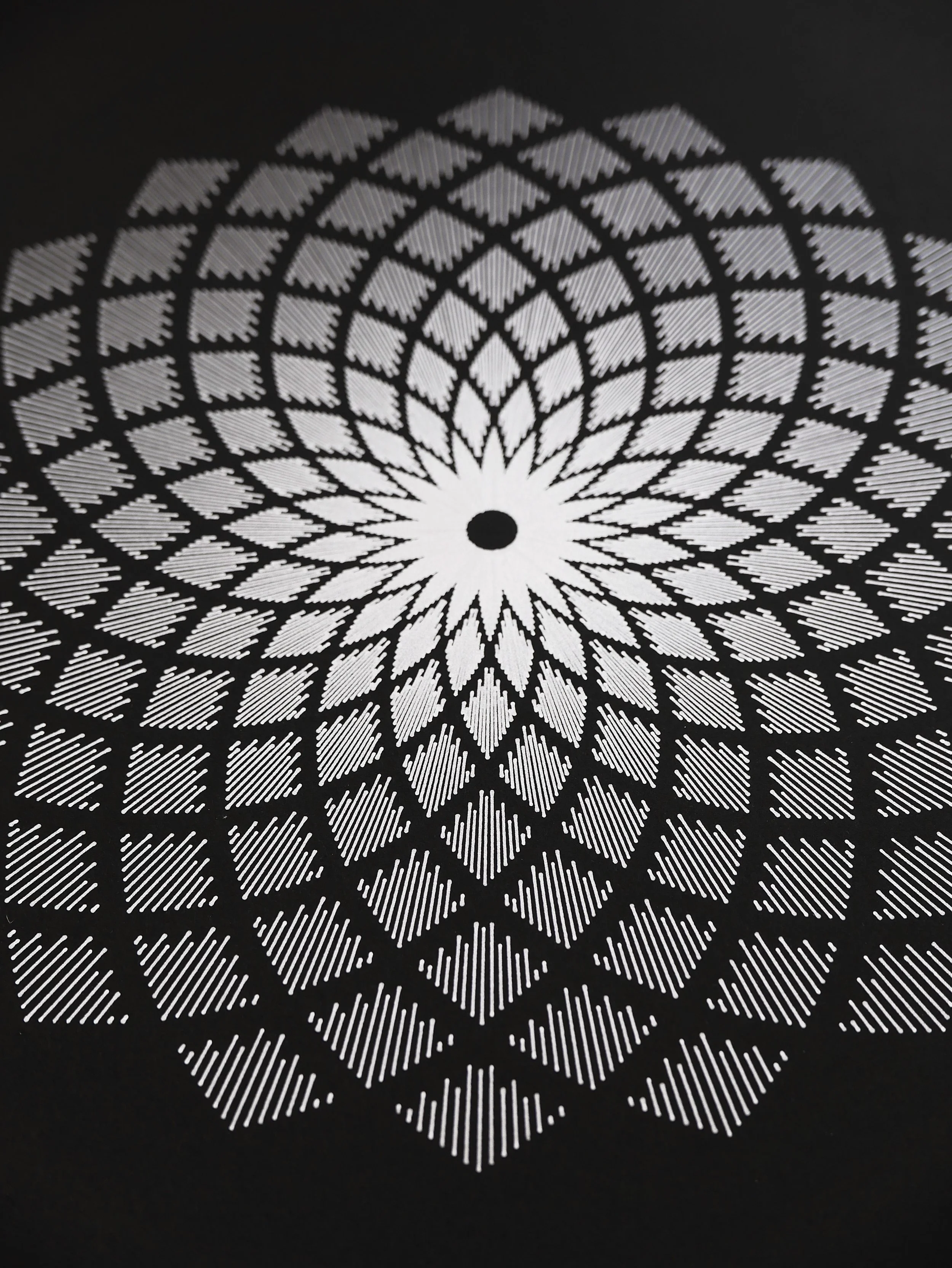 48.3 Negative space.jpg