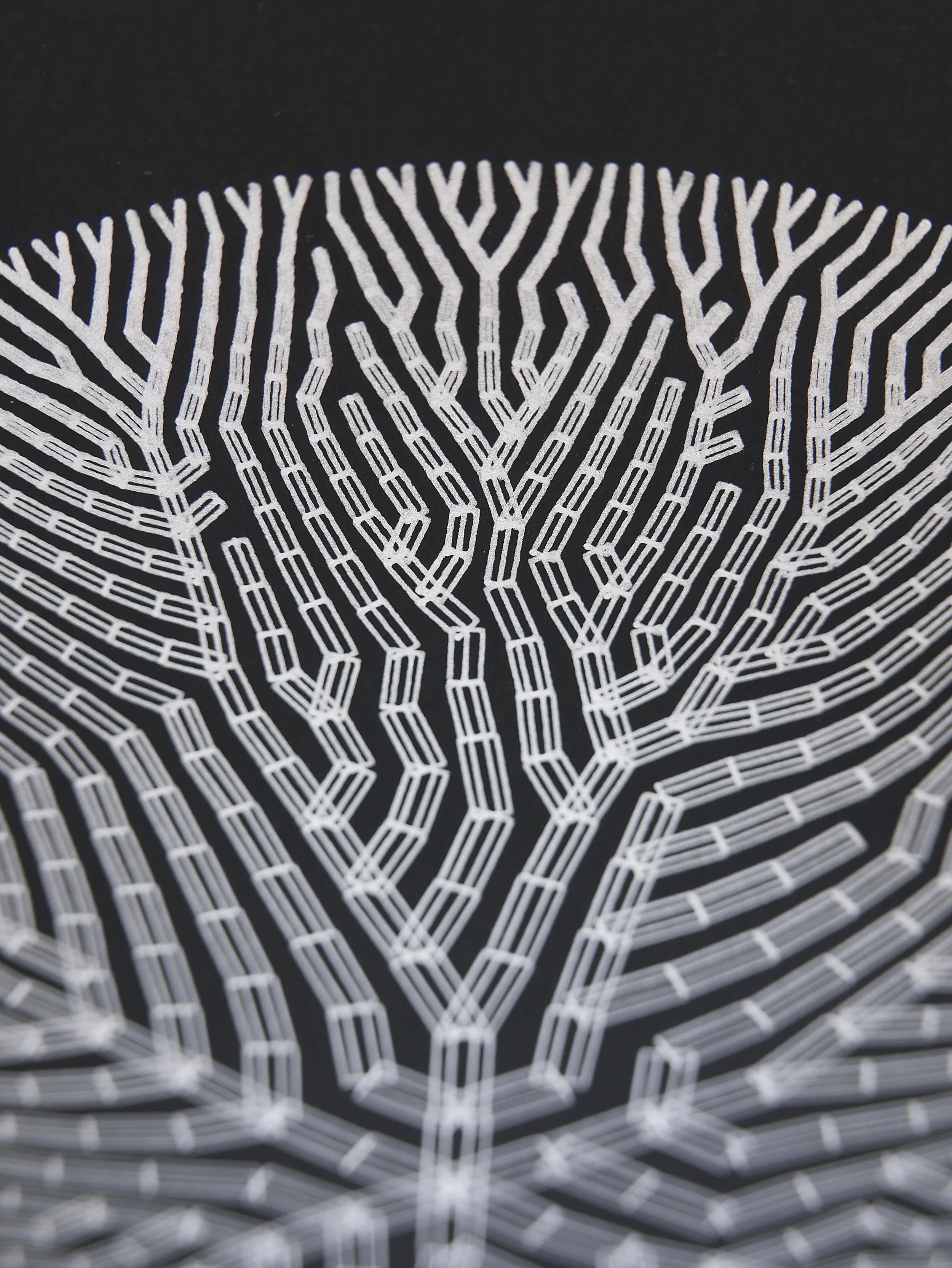 47.4 Organic Rectagles.jpg