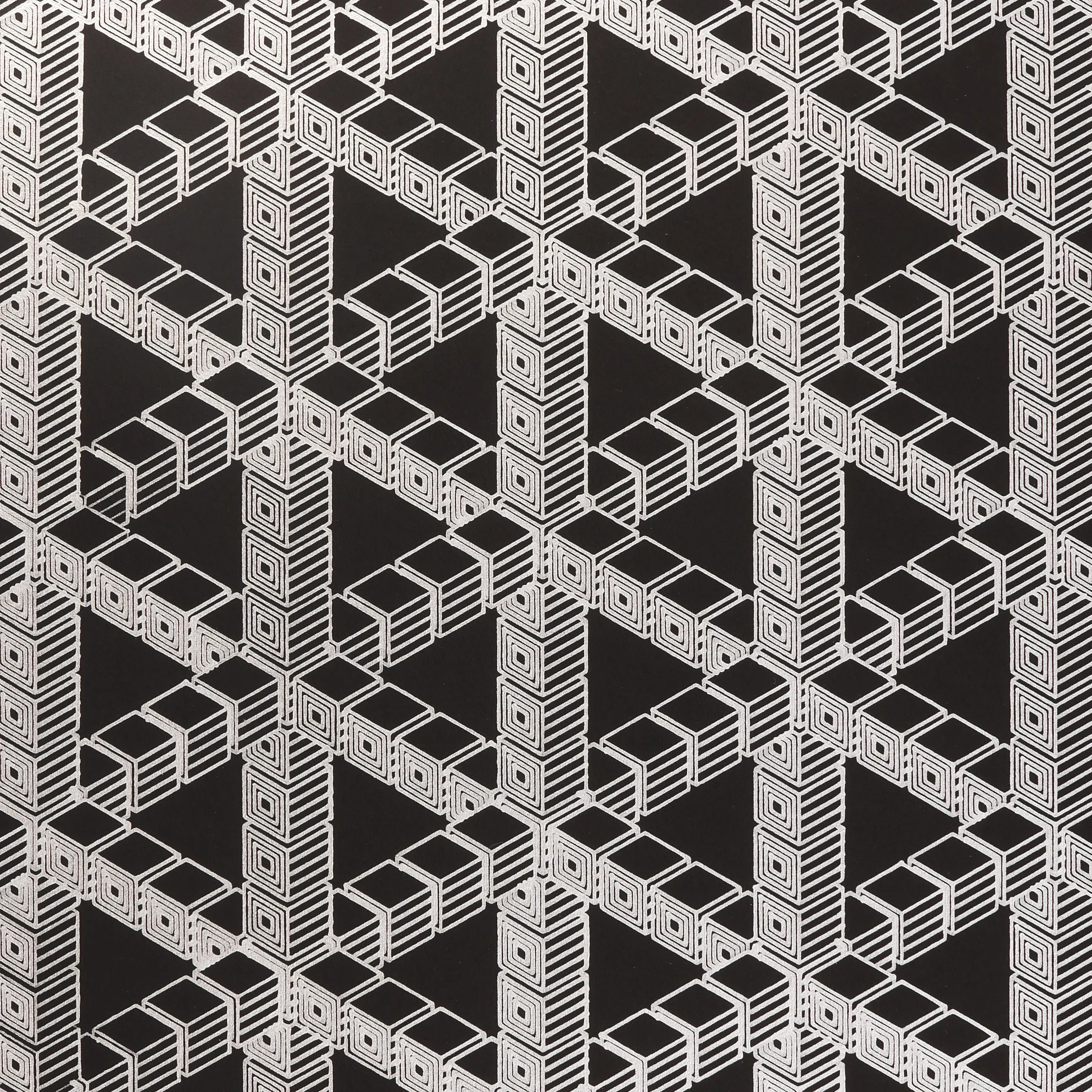 46.2 Isometric Illusions.jpg