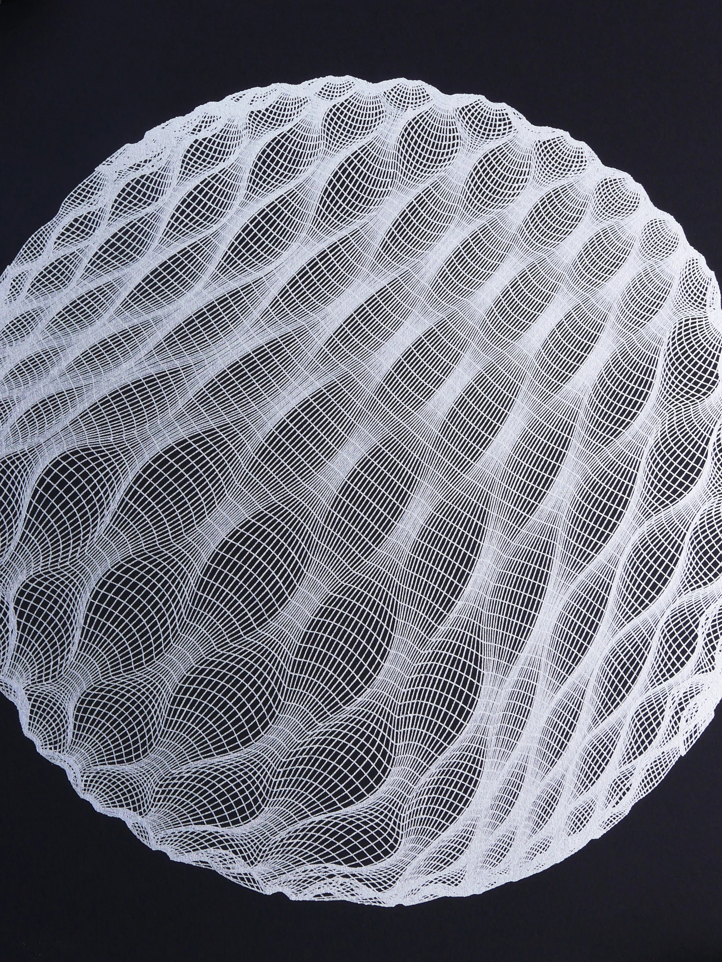 41.2 Perspective.jpg