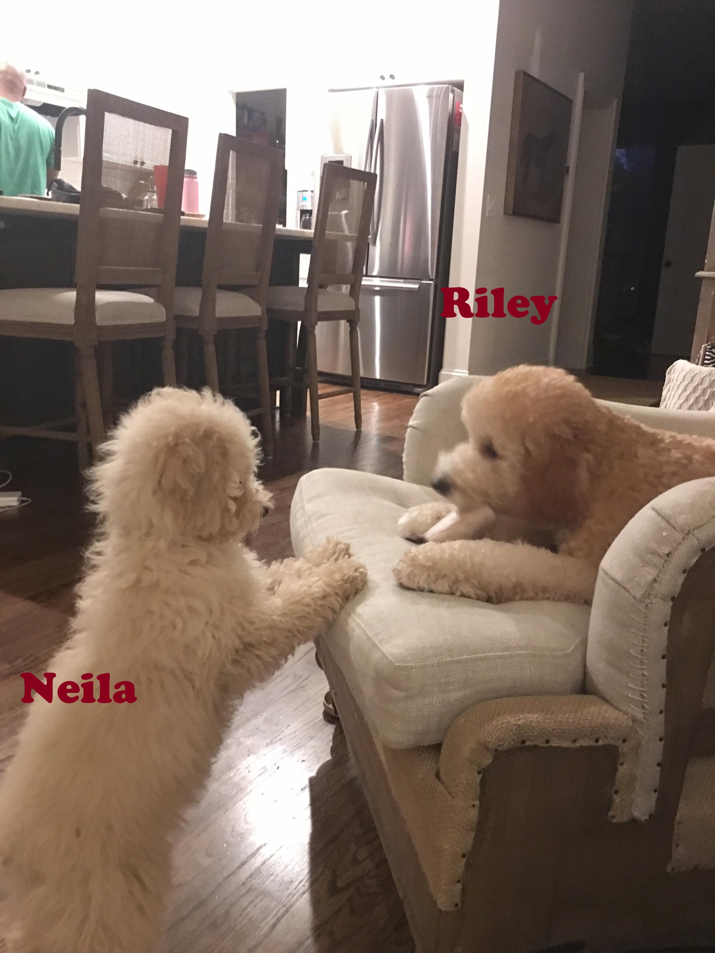 Neila and Riley.jpg