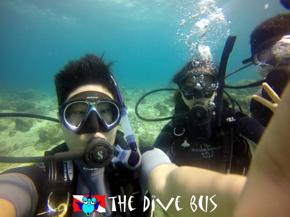 Curacao_The Dive Bus_Padi Open Water Cert1.jpg