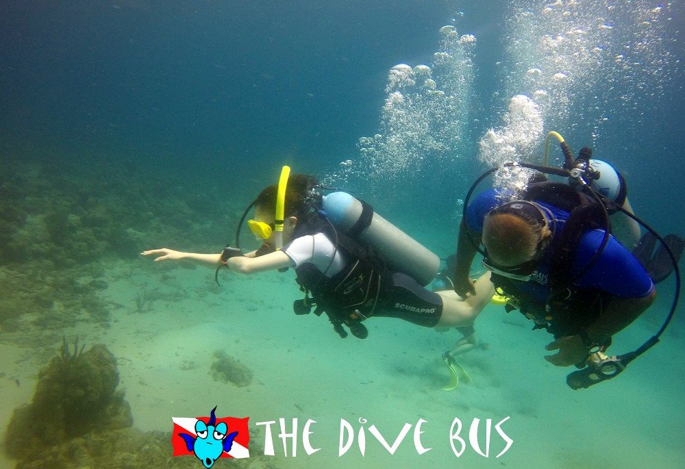 Curacao_The Dive Bus_Padi Open Water Cert4.jpg