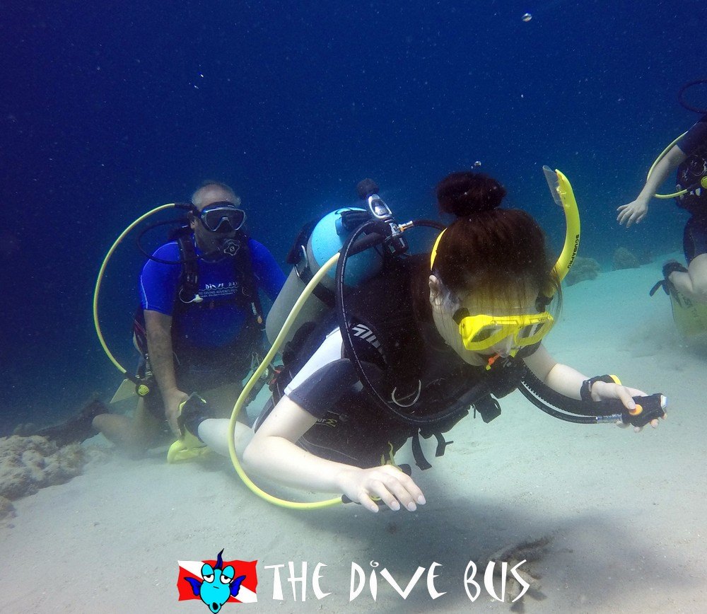 Curacao_The Dive Bus_Padi Open Water Cert9.jpg