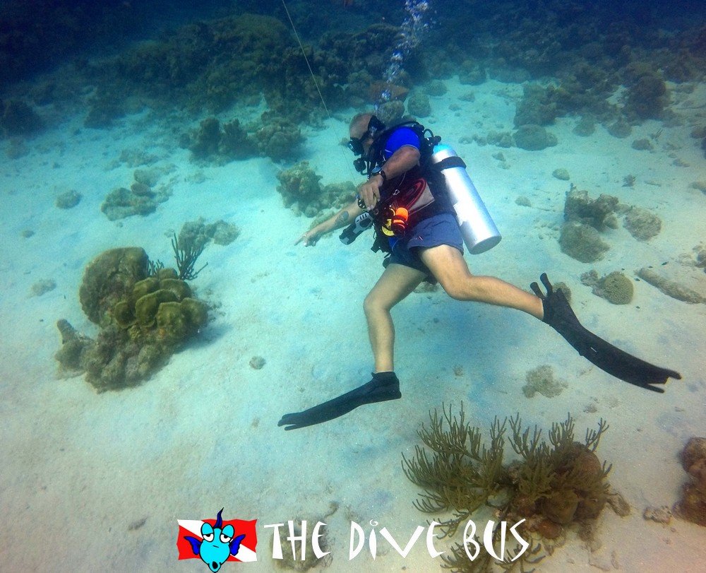 Curacao_The Dive Bus_Padi Open Water Cert13.jpg