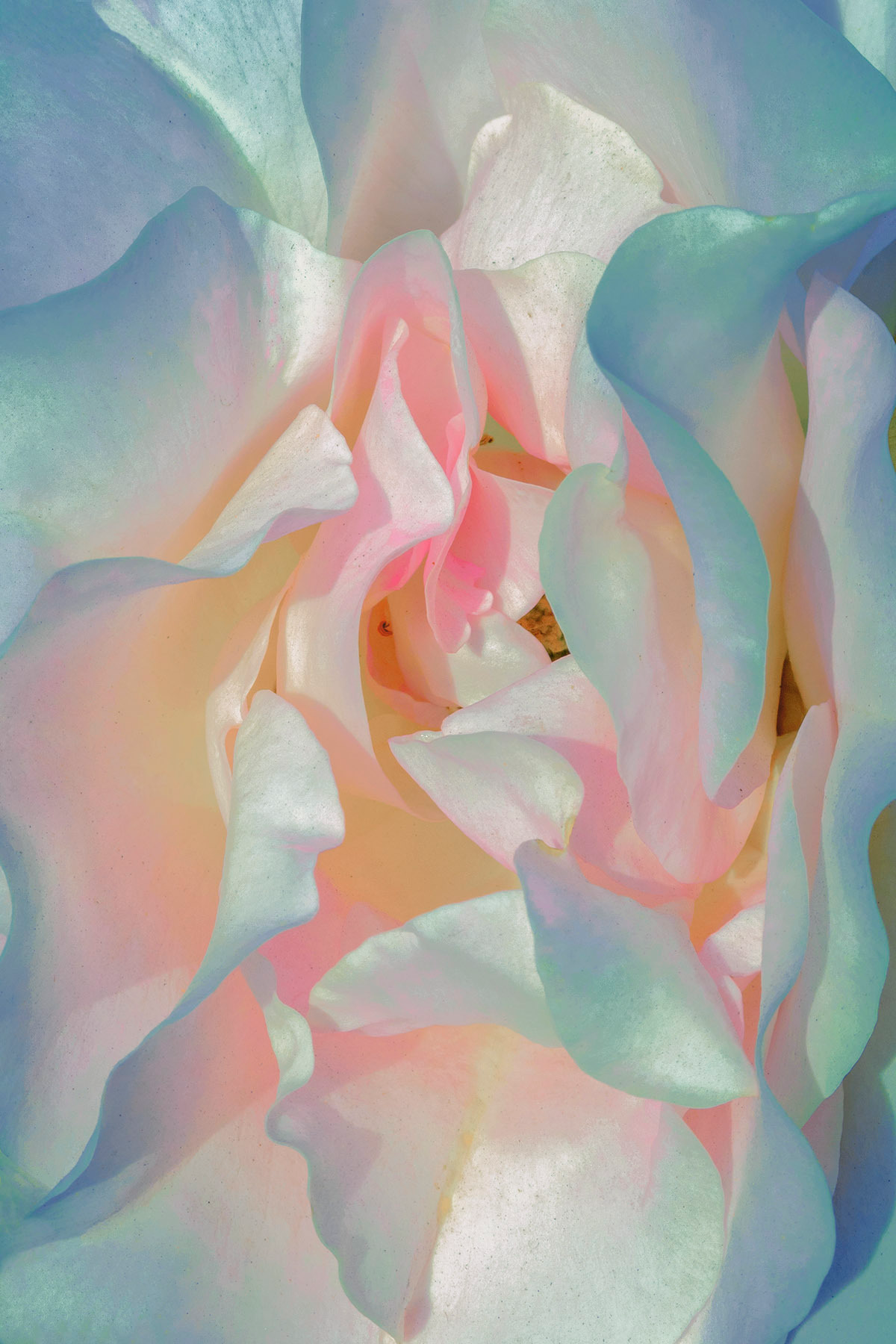 IMG_1626.png