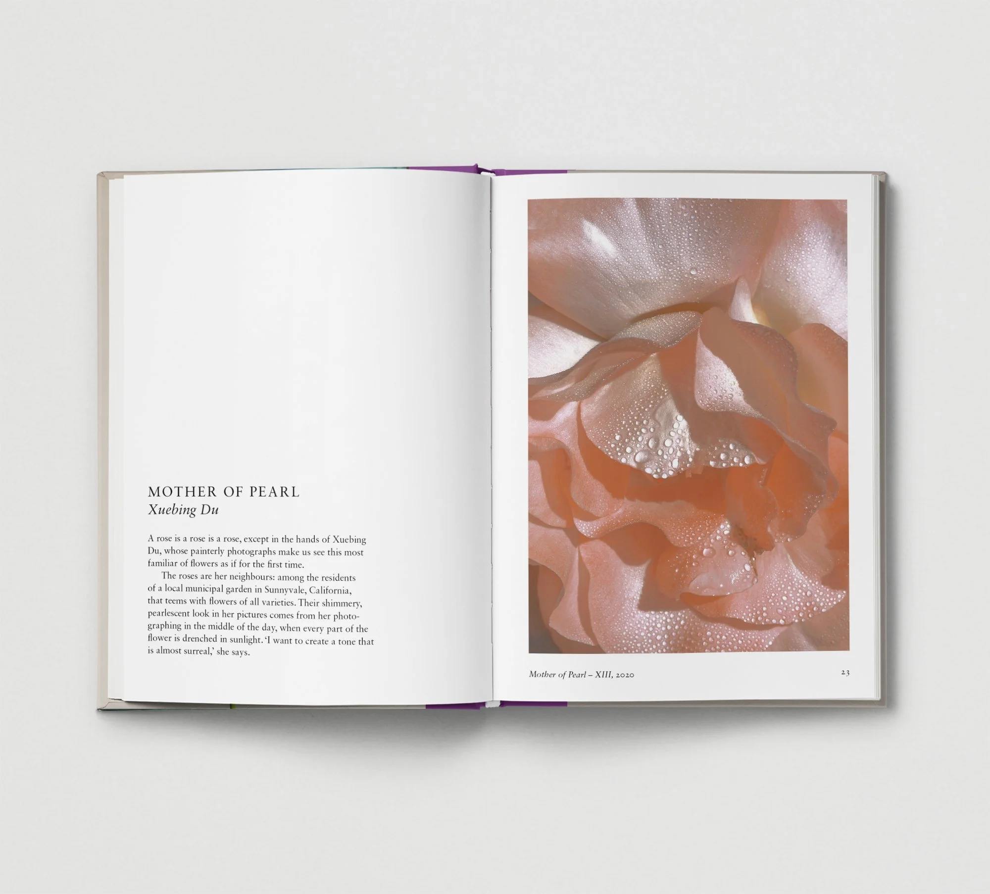 Hoxton Mini Press, New Photography of the Flower