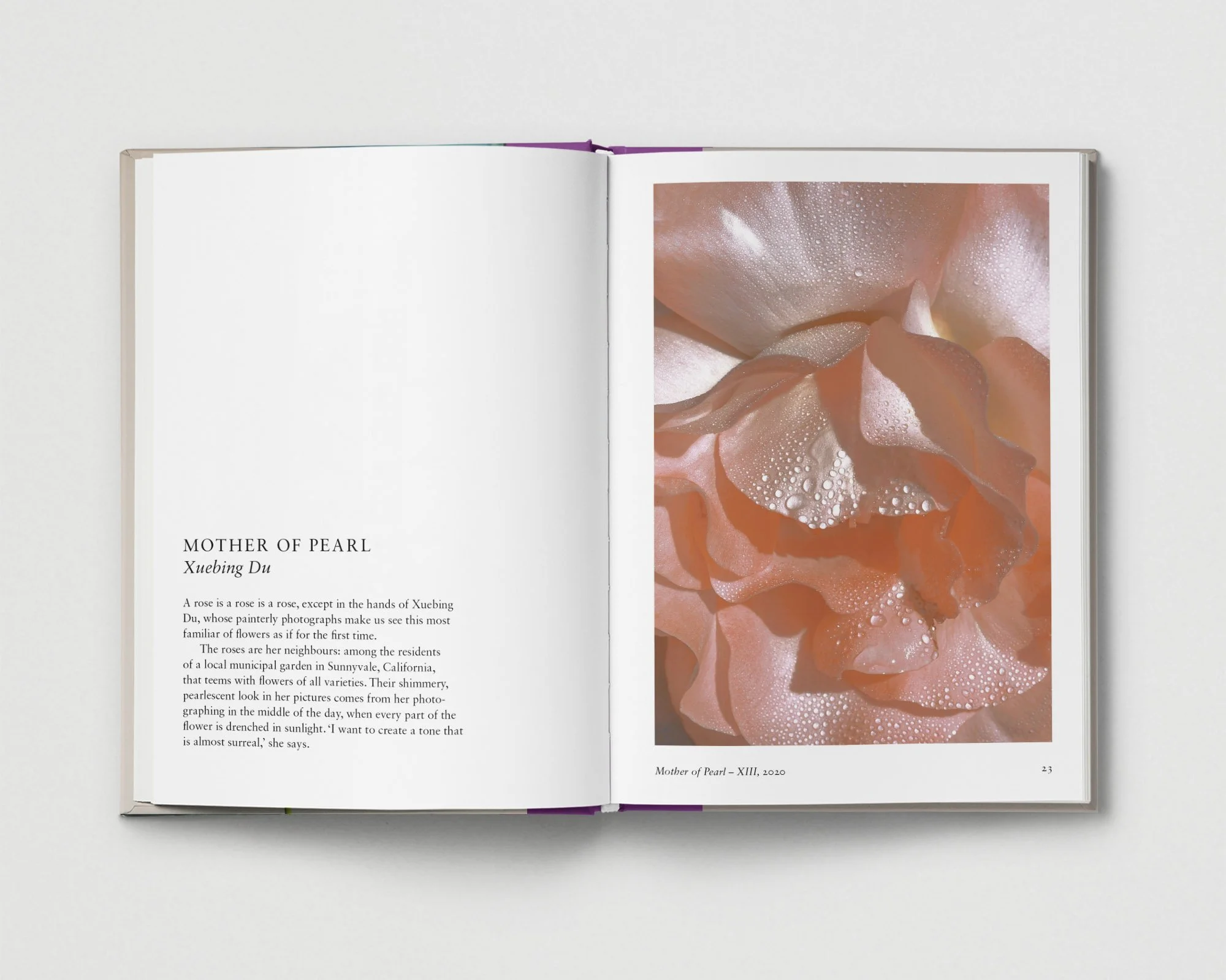 02_Flower_Spreads_Grey_Xuebing Du_01 copy.jpg