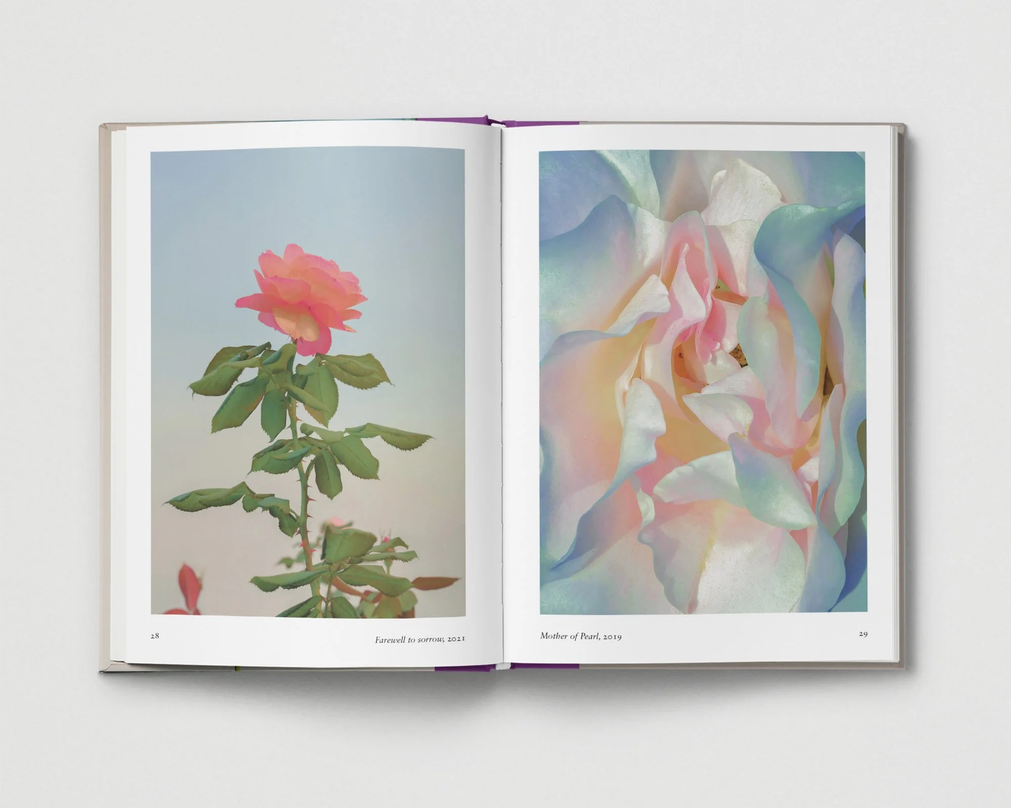 02_Flower_Spreads_Grey_Xuebing Du_04 copy.jpg