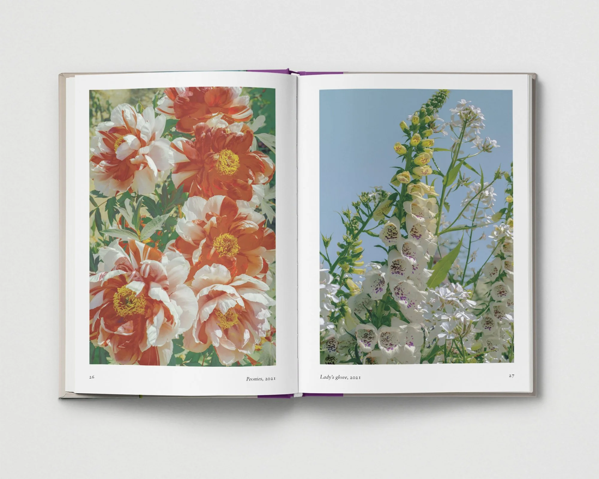 02_Flower_Spreads_Grey_Xuebing Du_03 copy.jpg