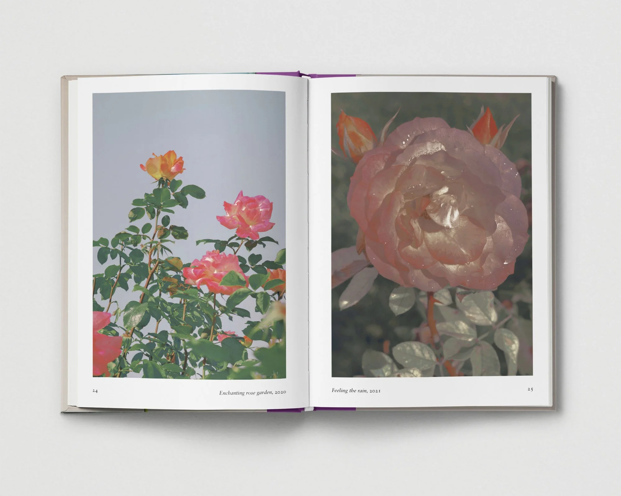02_Flower_Spreads_Grey_Xuebing Du_02 copy.jpg