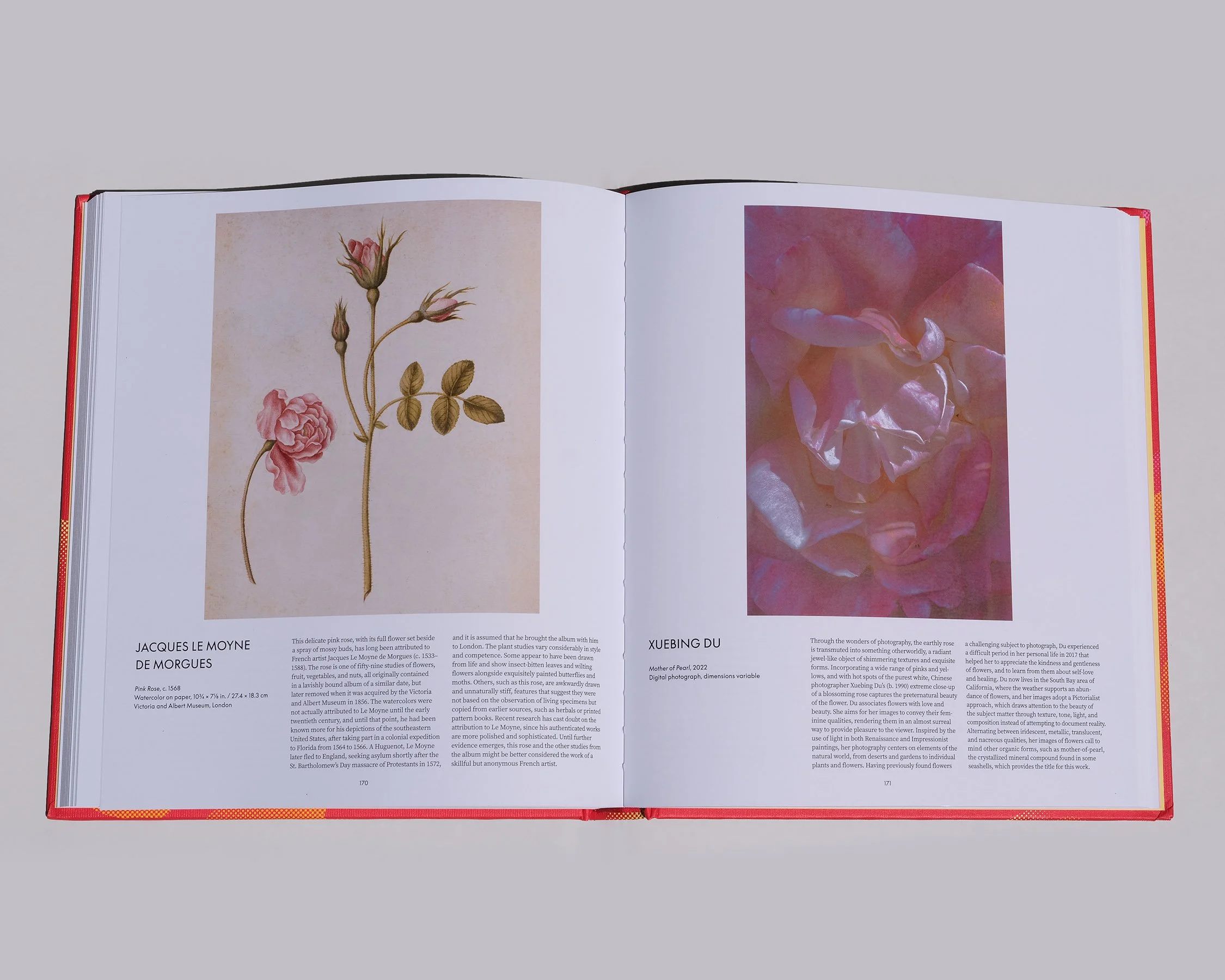 The Rose Book, Phaidon Press