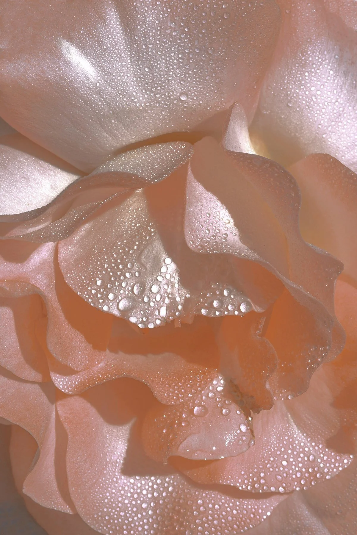 11__XDU4340_5.jpg