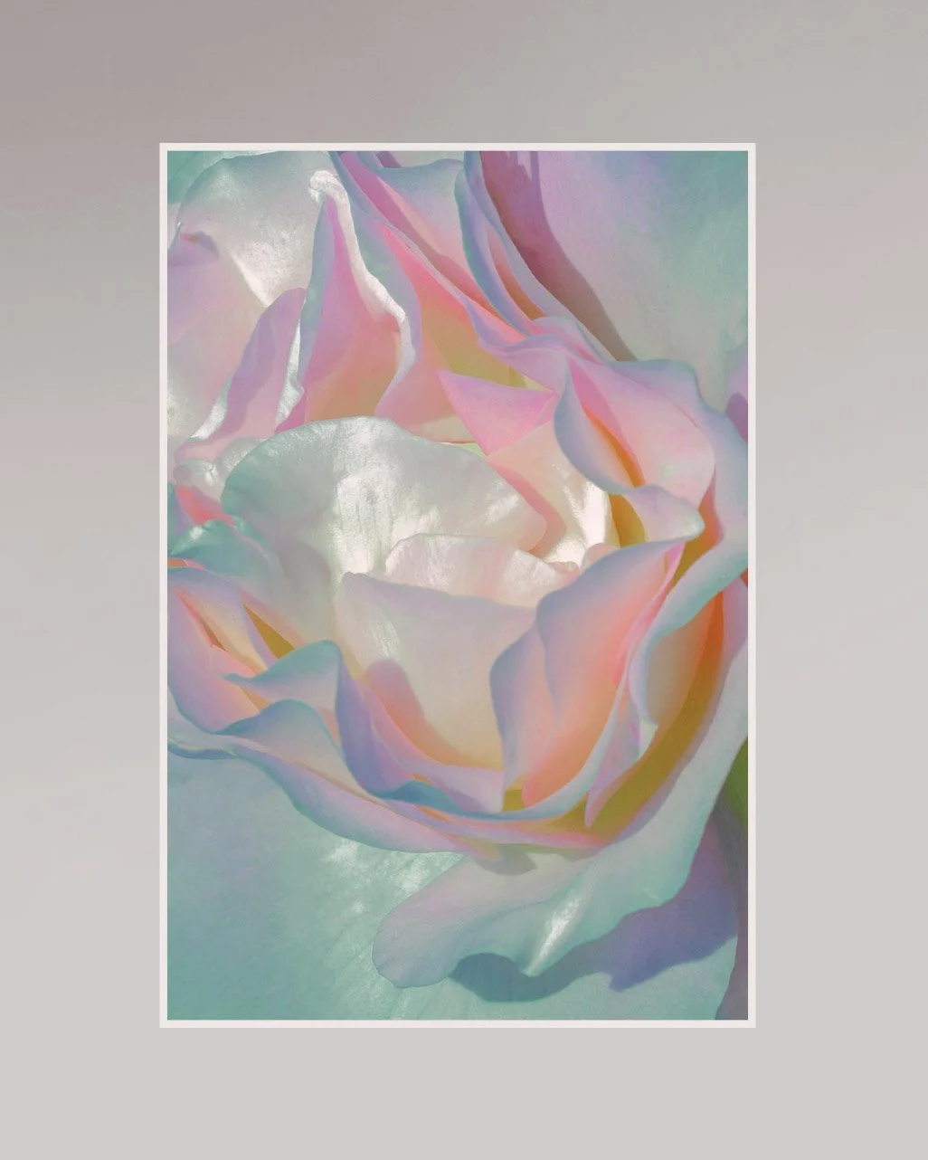 motherofpearl-2 display.jpg