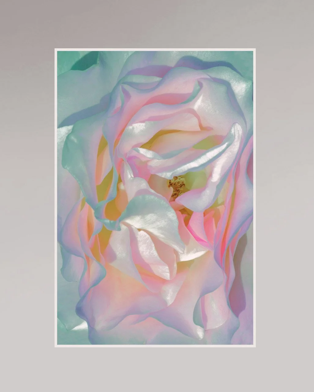 motherofpearl-1 display.jpg
