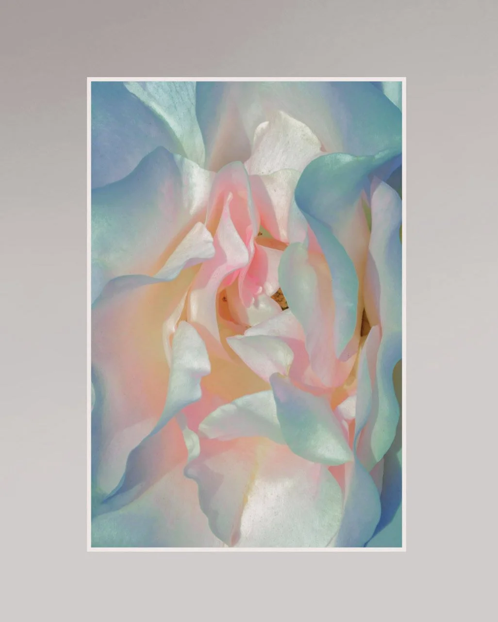motherofpearl-3 display.jpg
