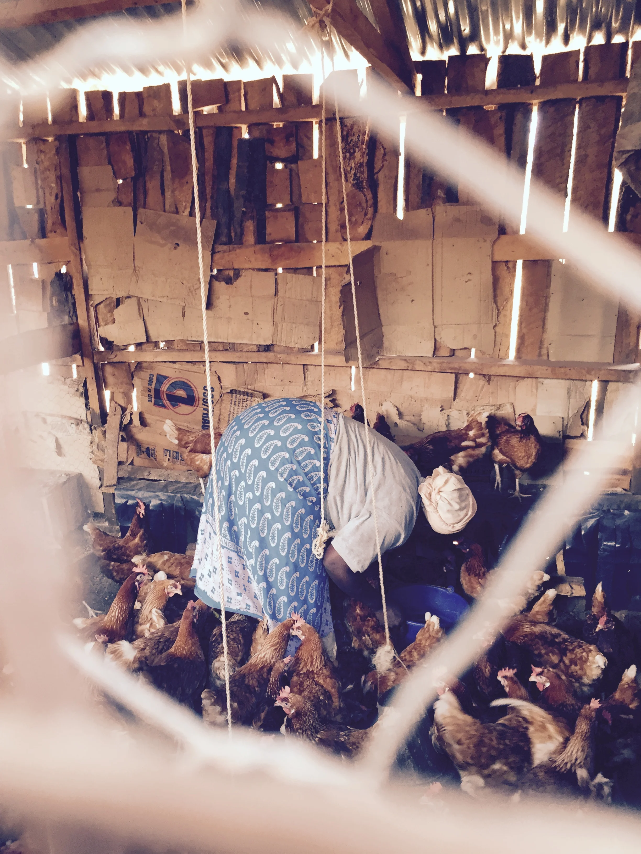 FullSizeRender (56).jpg