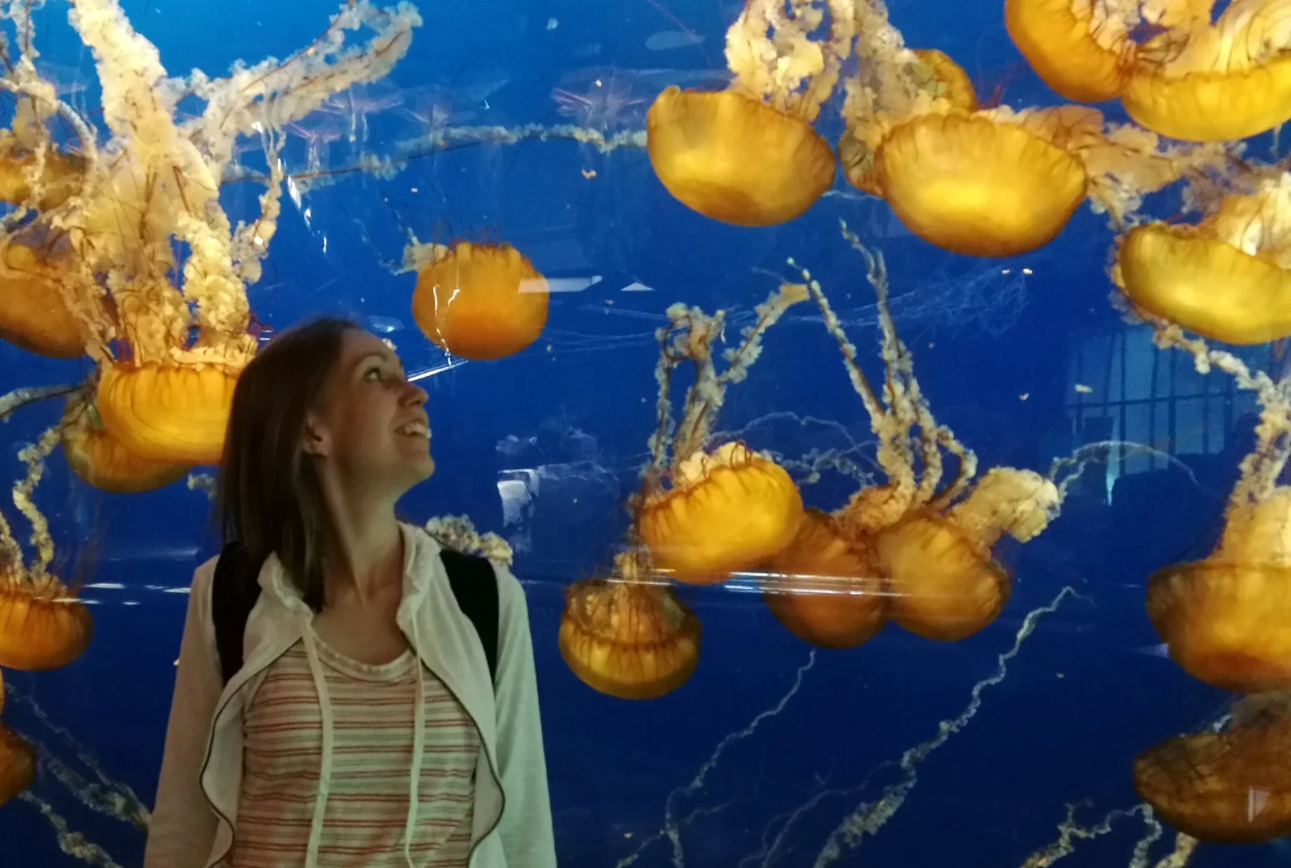 Kajsa verlor sich in einer Welt der Wunder (Vancouver Aquarium nach einer Konferenz für Neurowissenschaften, 2017).