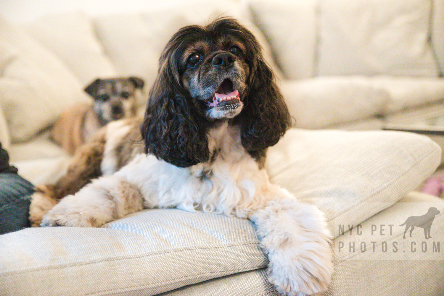 Chloe and Stella-35.jpg