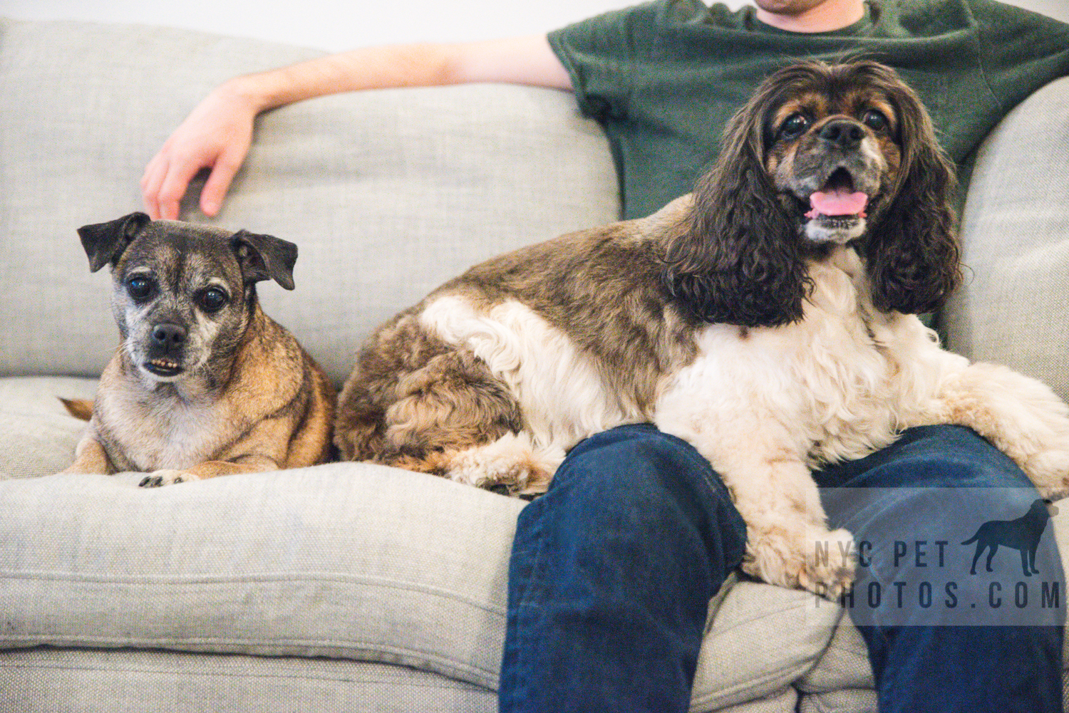 Chloe and Stella-36-Edit.jpg