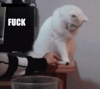 giphy (3).gif