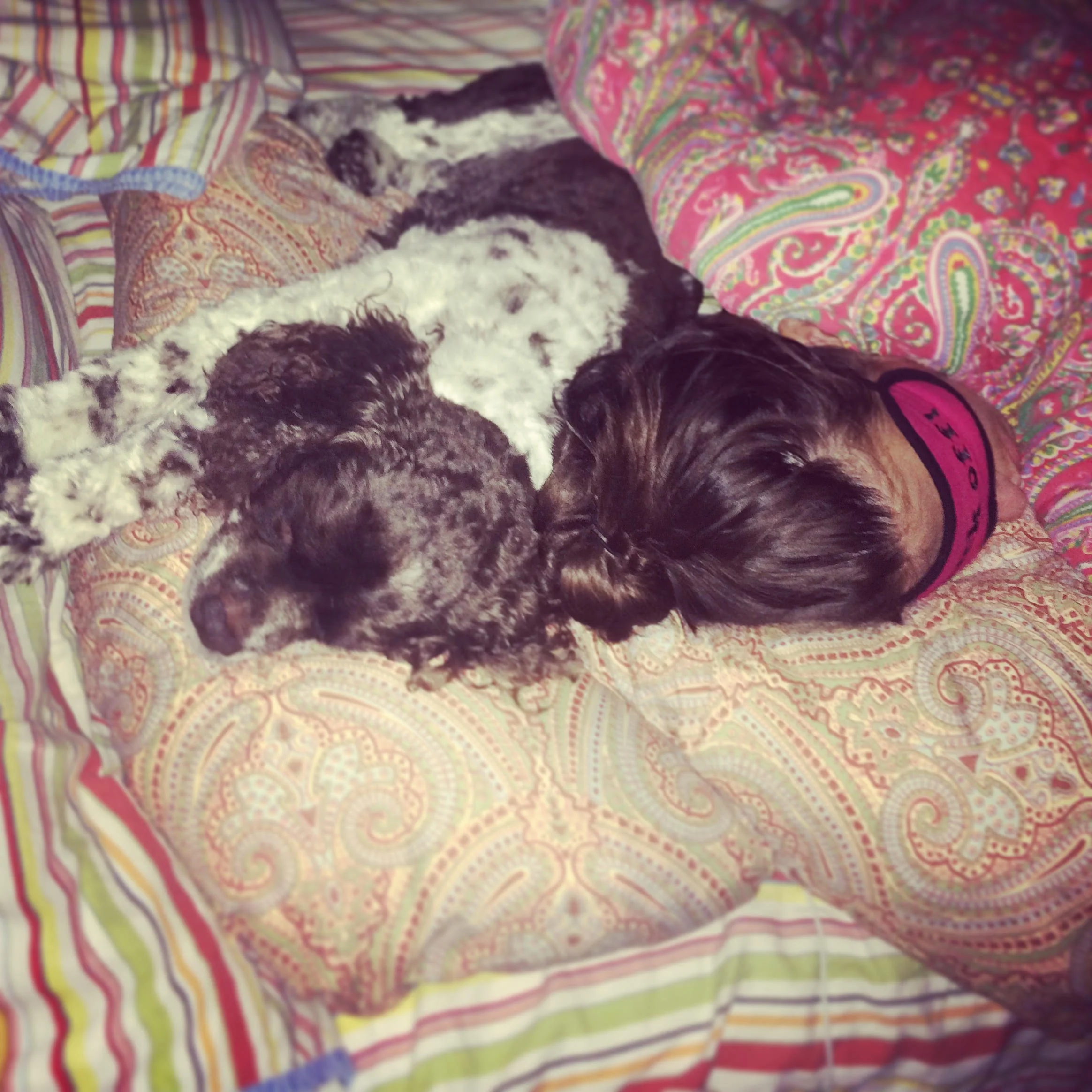 For a little proof ... here's a photo my fiancé took of Austin and myself at 6am. We snuggle.