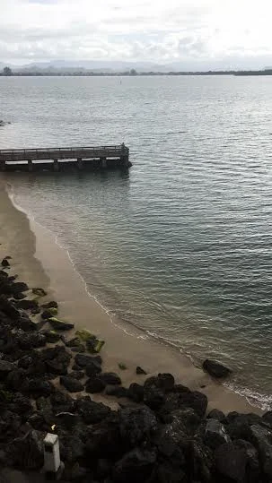 This view!