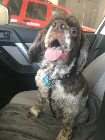 ^^ This is Austin