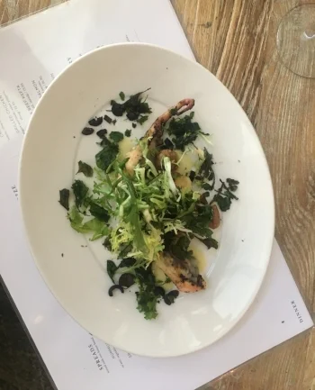 The Octopus – SO GOOD.