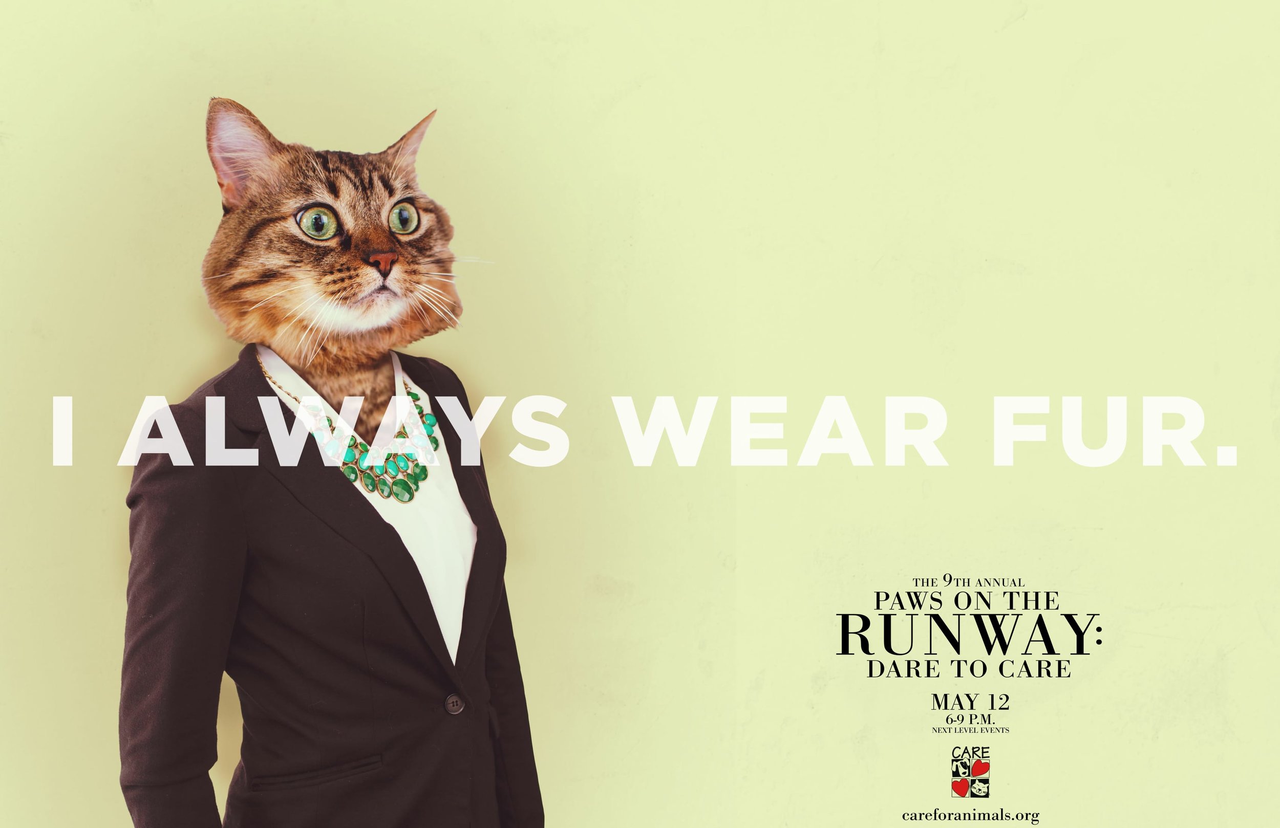 Paws on the Runway CAT FINAL pdf-1.jpg