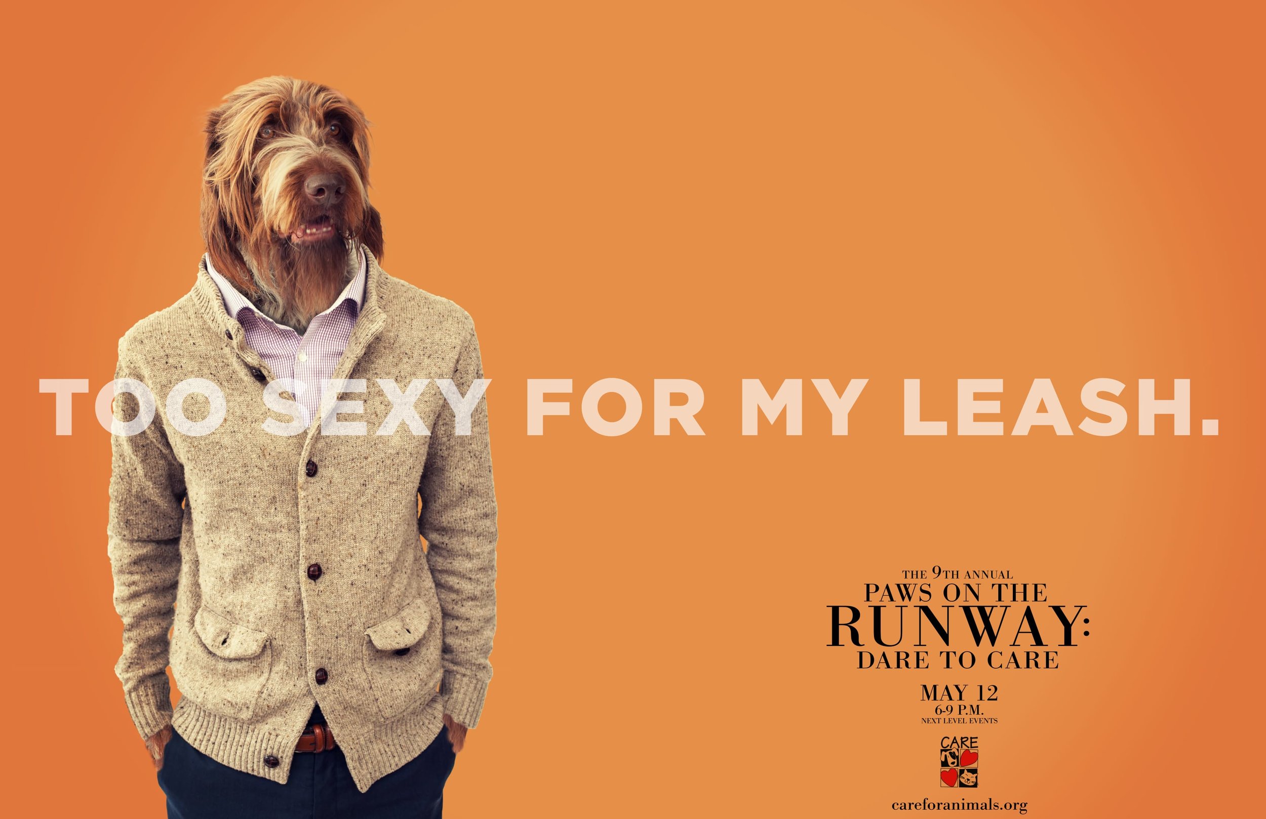 Paws on the Runway HENRY FINAL pdf-1.jpg