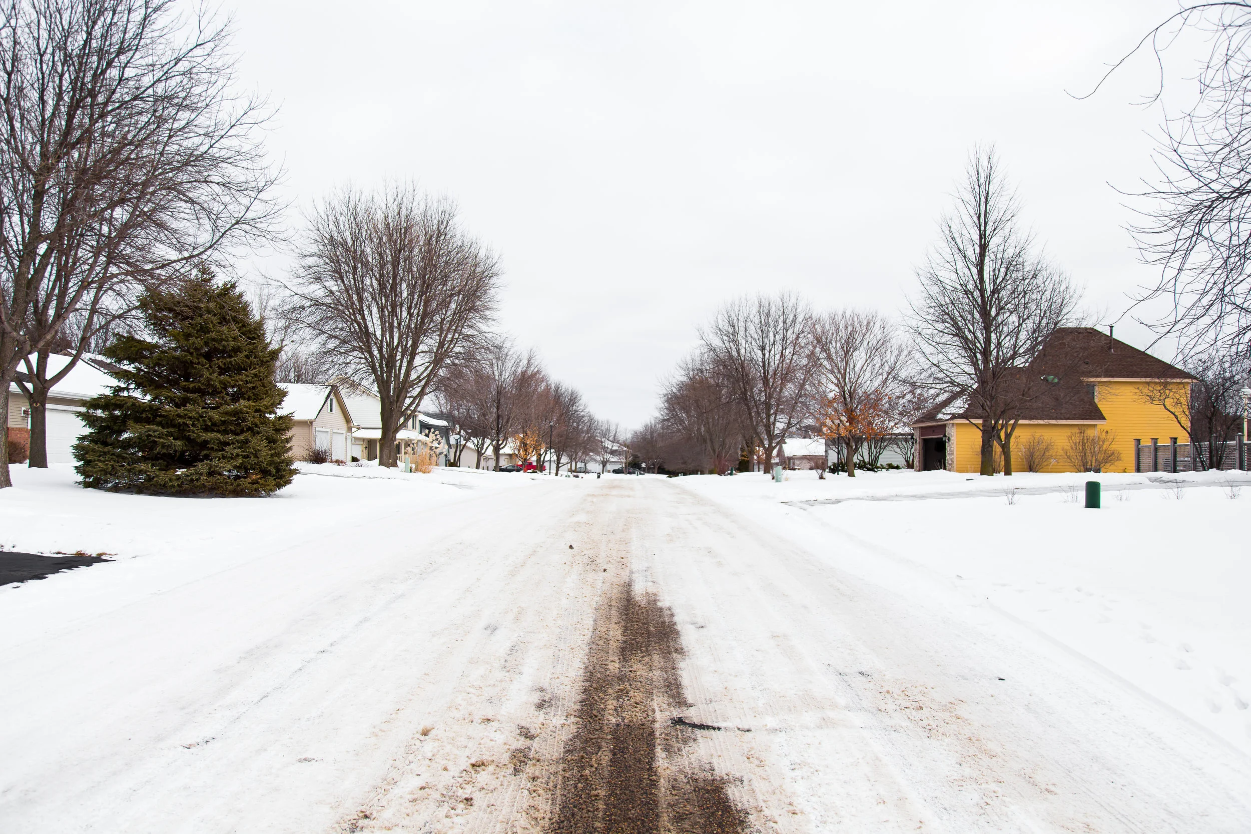barren_snow.jpg