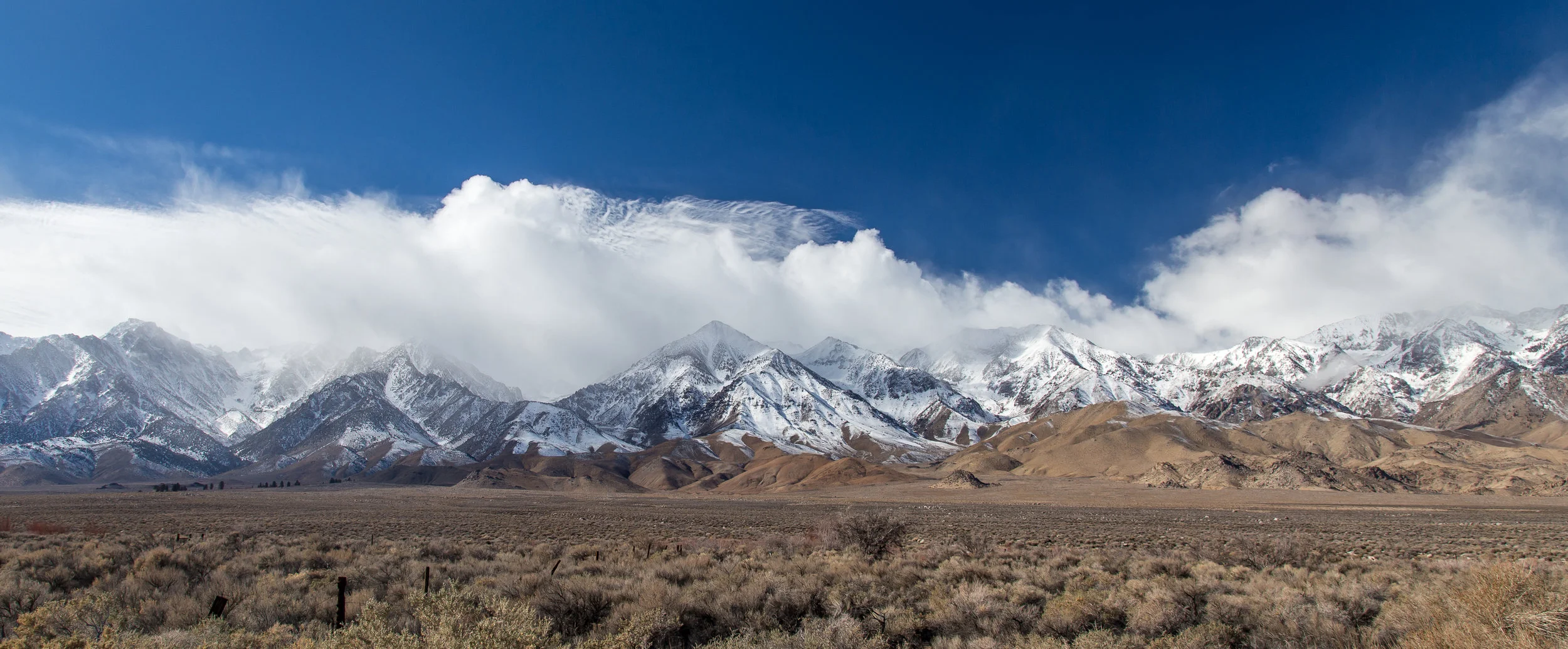 WIDEMOUNTAIN.jpg