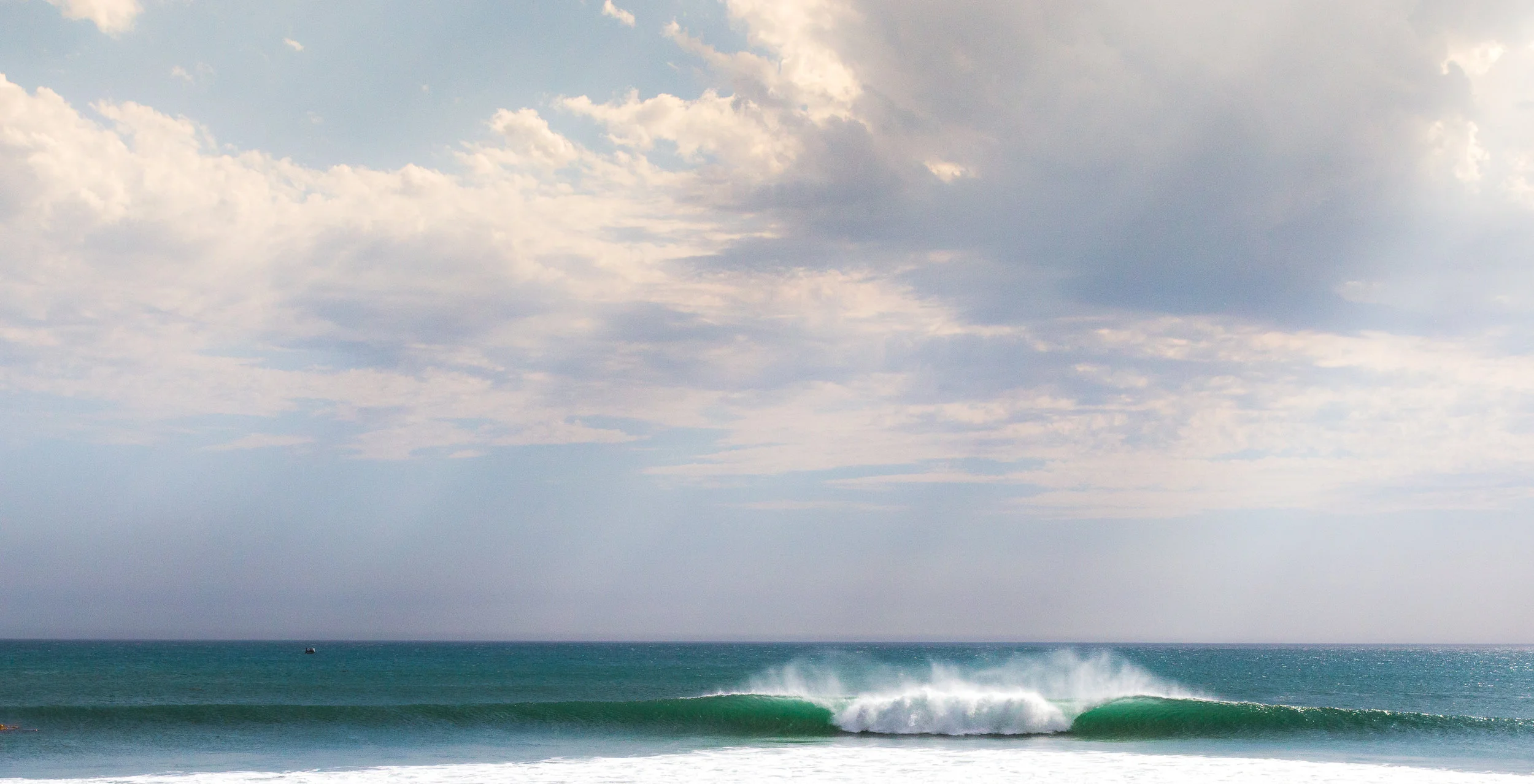 lowers.jpg