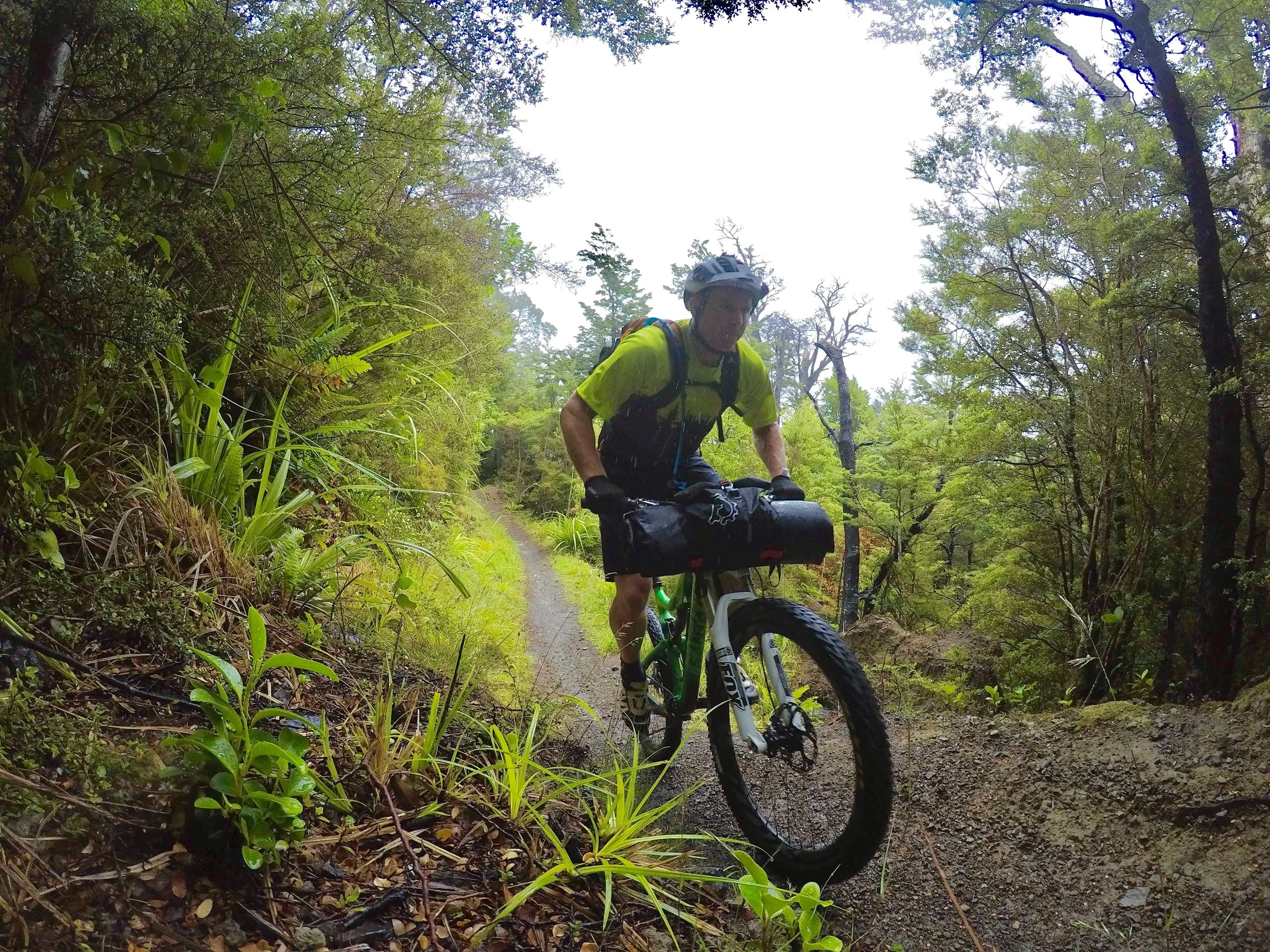 Revelate to innovate