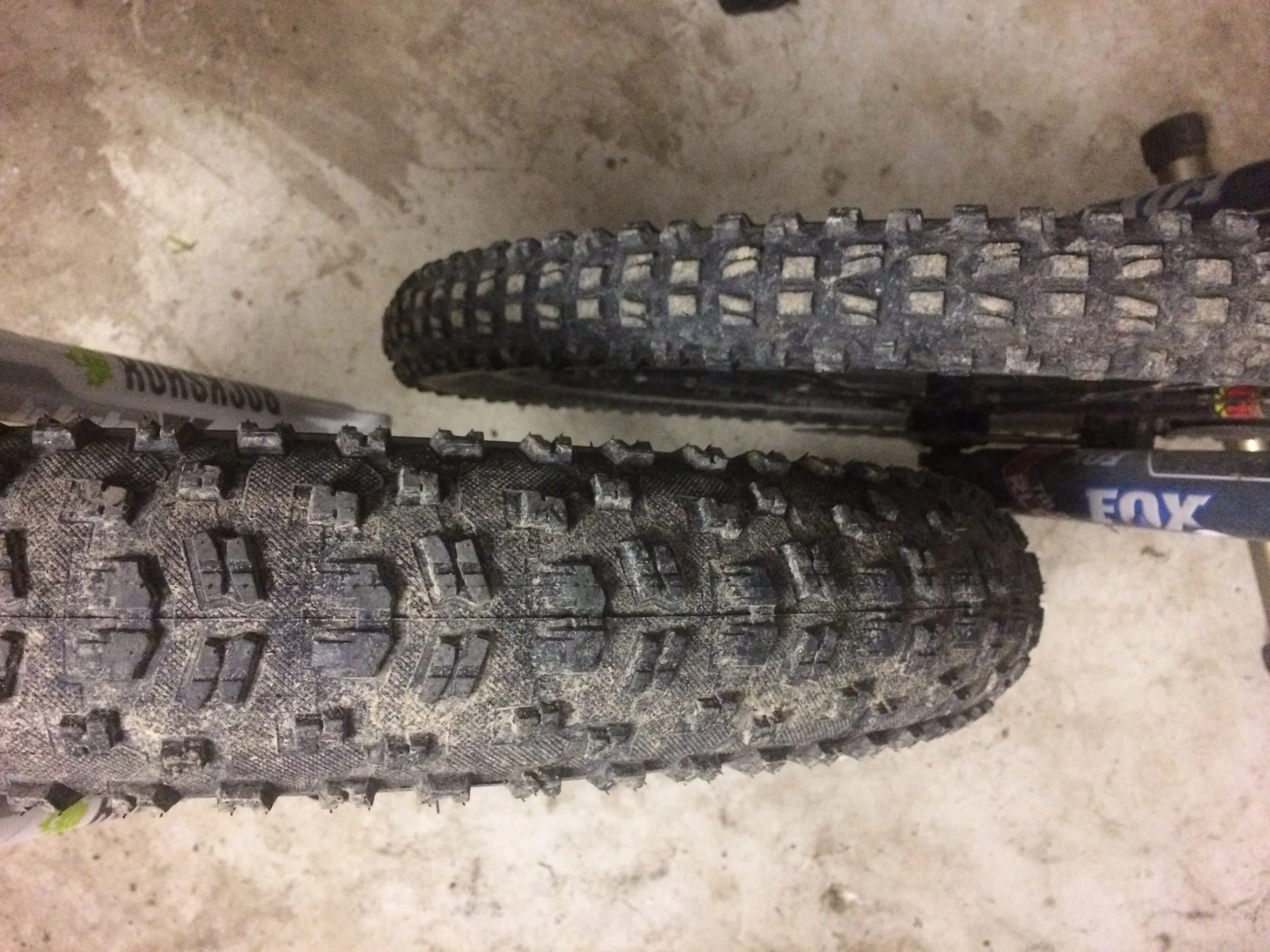 Fat bike fever...