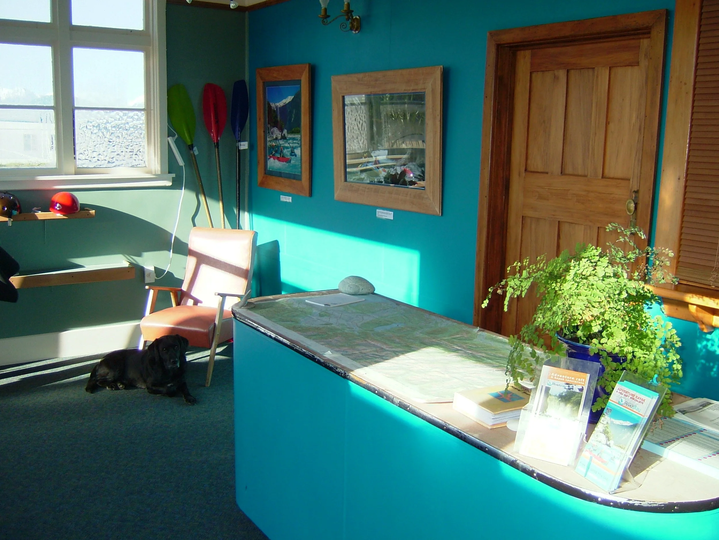 Riverplay headquarters, the southern alps peeking through the windows and Jett the rafting dog waiting for the punters. 