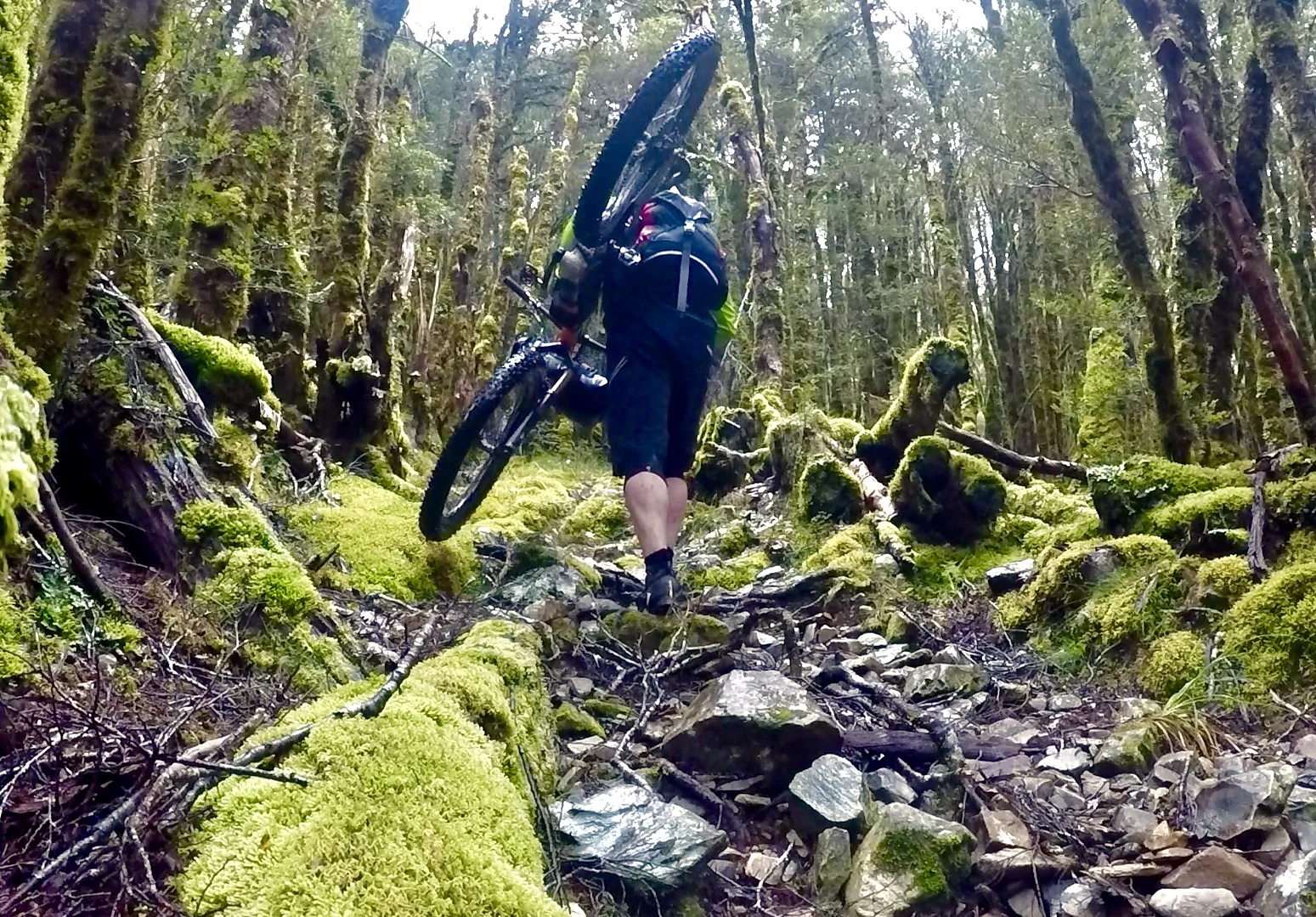 Nearing the end of 800 vertical metres of hike a bike. 