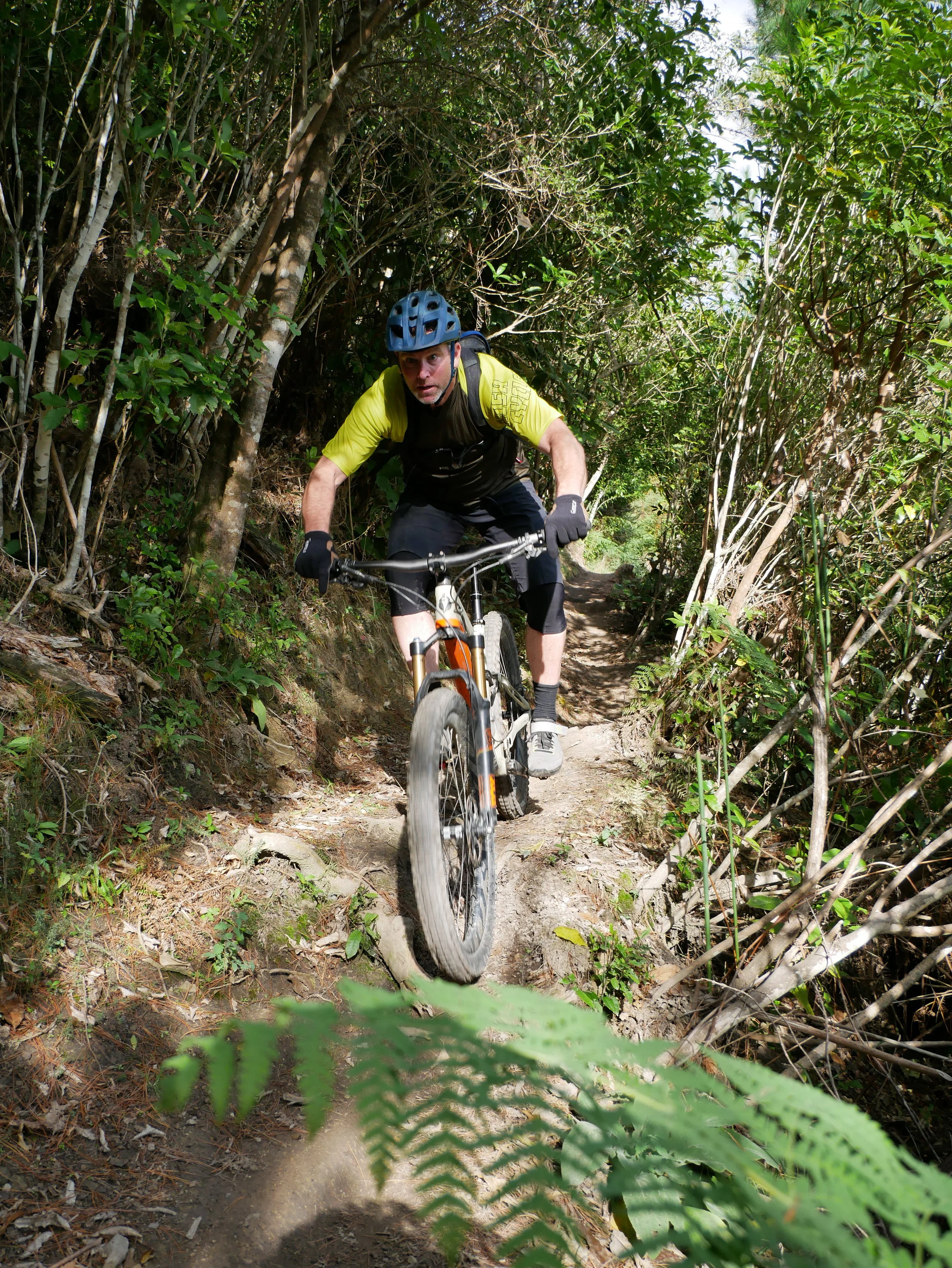 Te Ara Koa trail is a hand built advanced trail (grade 4)