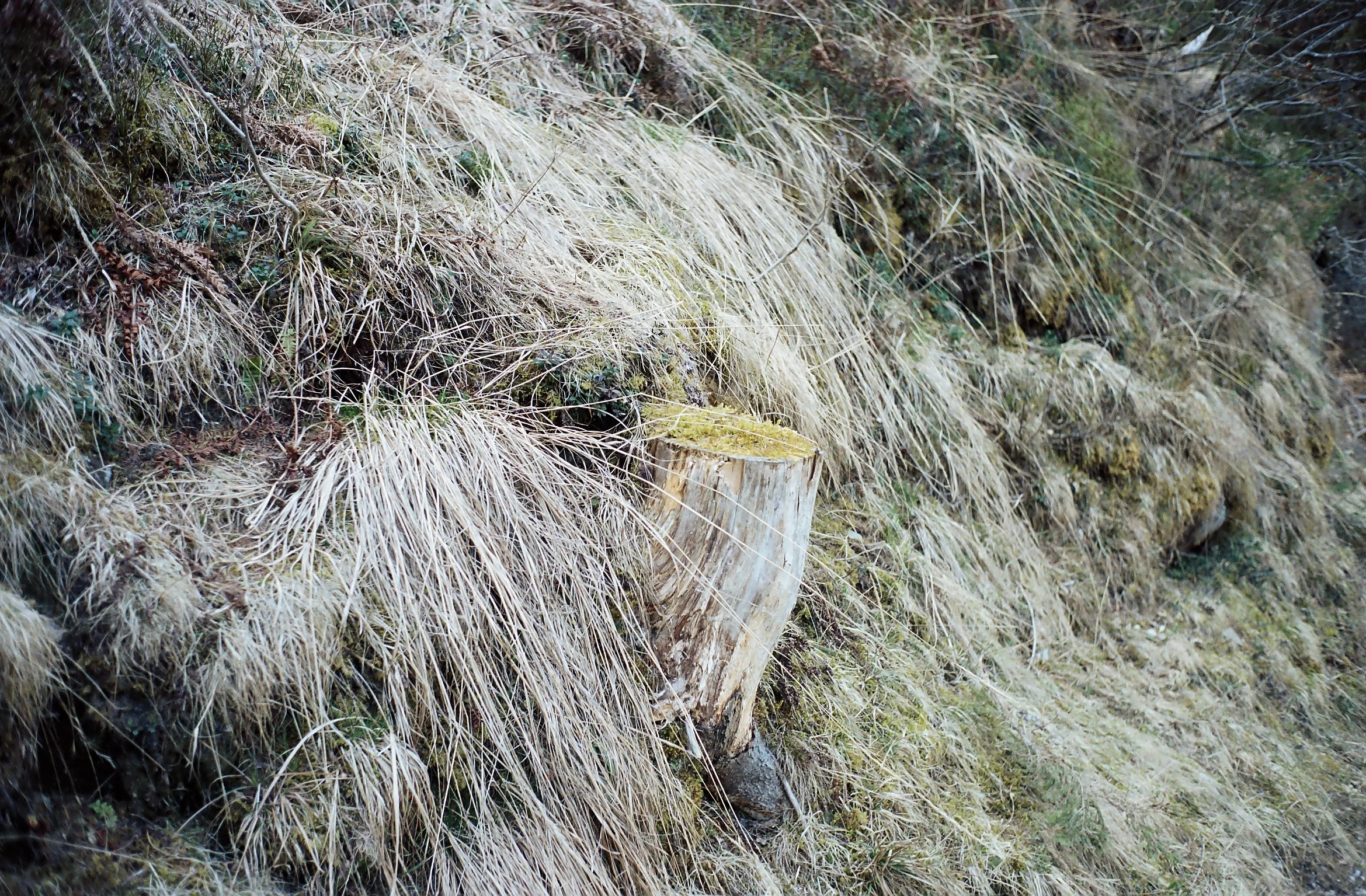 r001-001.jpg