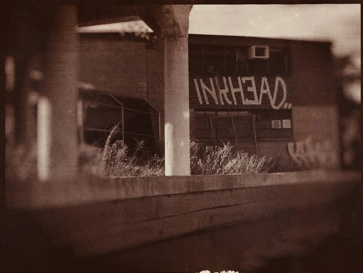 inkhead, large saltprint