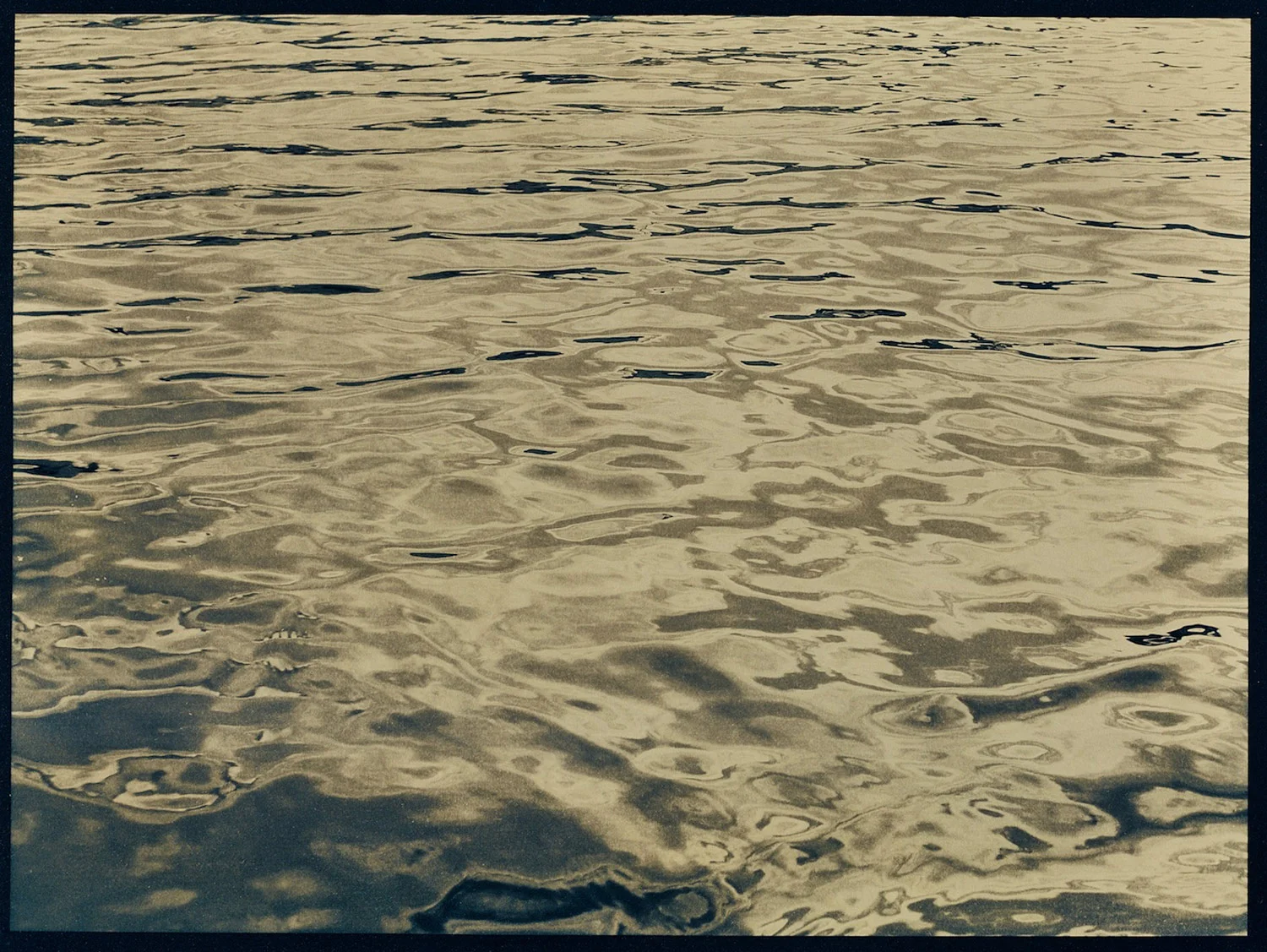 reflection 1, tannin tinted cyanotype