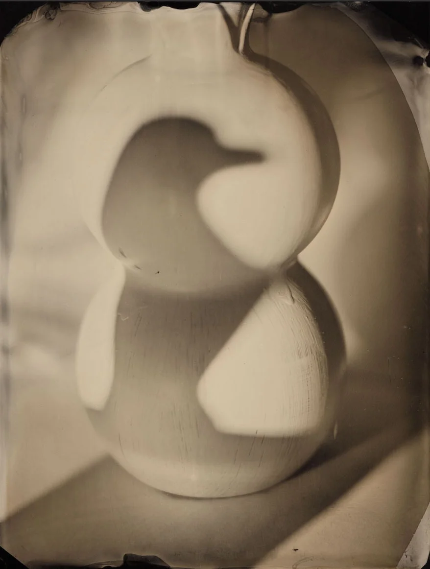 omen, full plate tintype