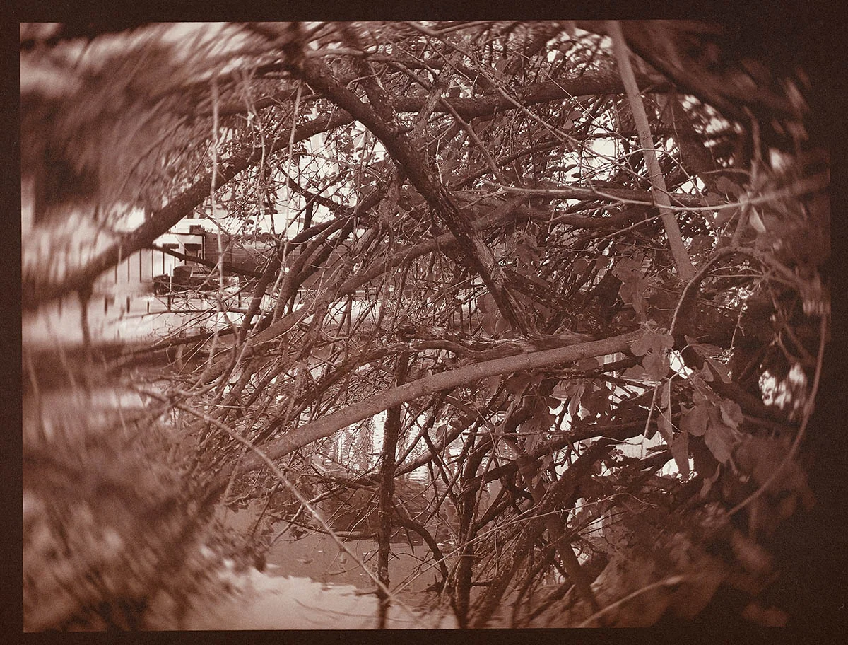 whirl, large saltprint