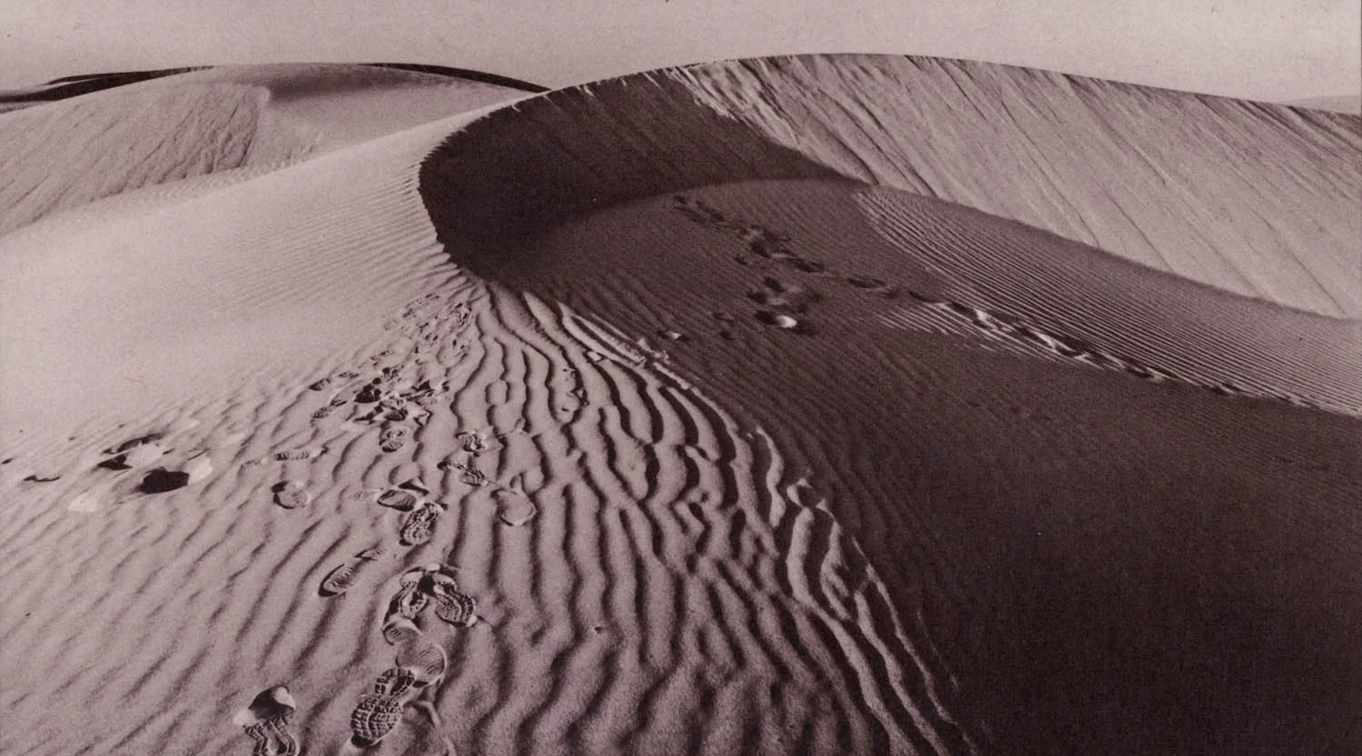 footprints in Liwa Oasis, Emirate