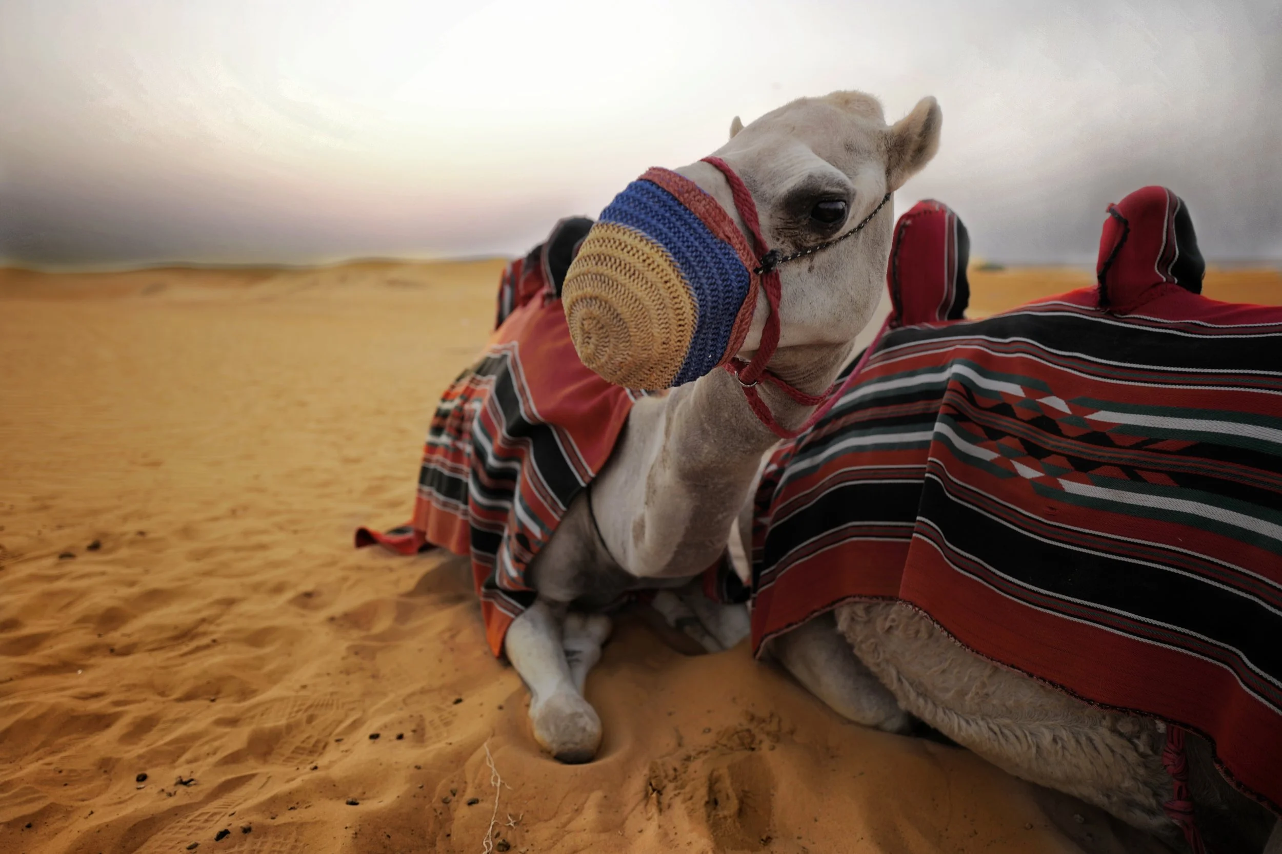 Dubai, UAE