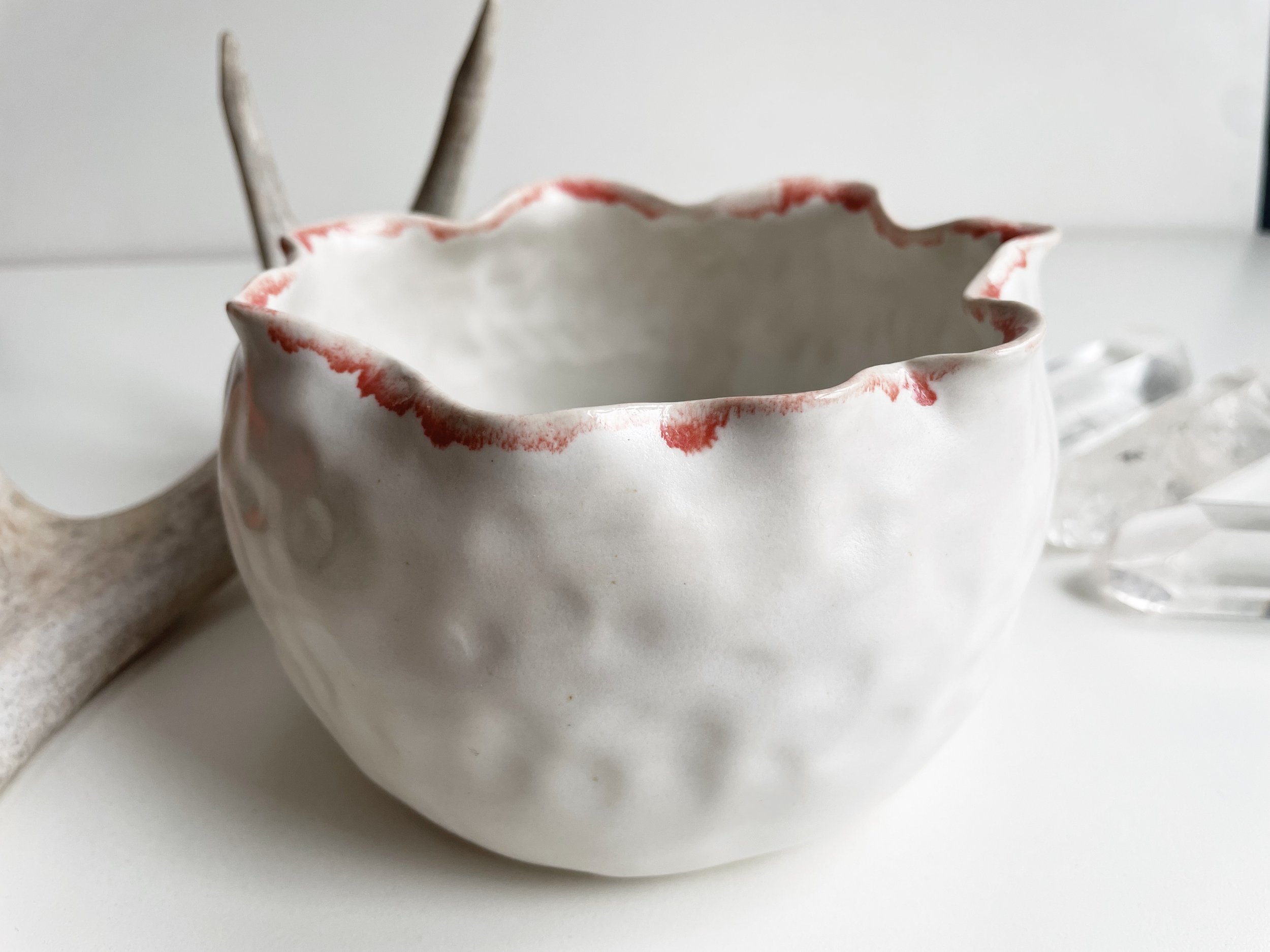 Blossom Bowl - Tulip